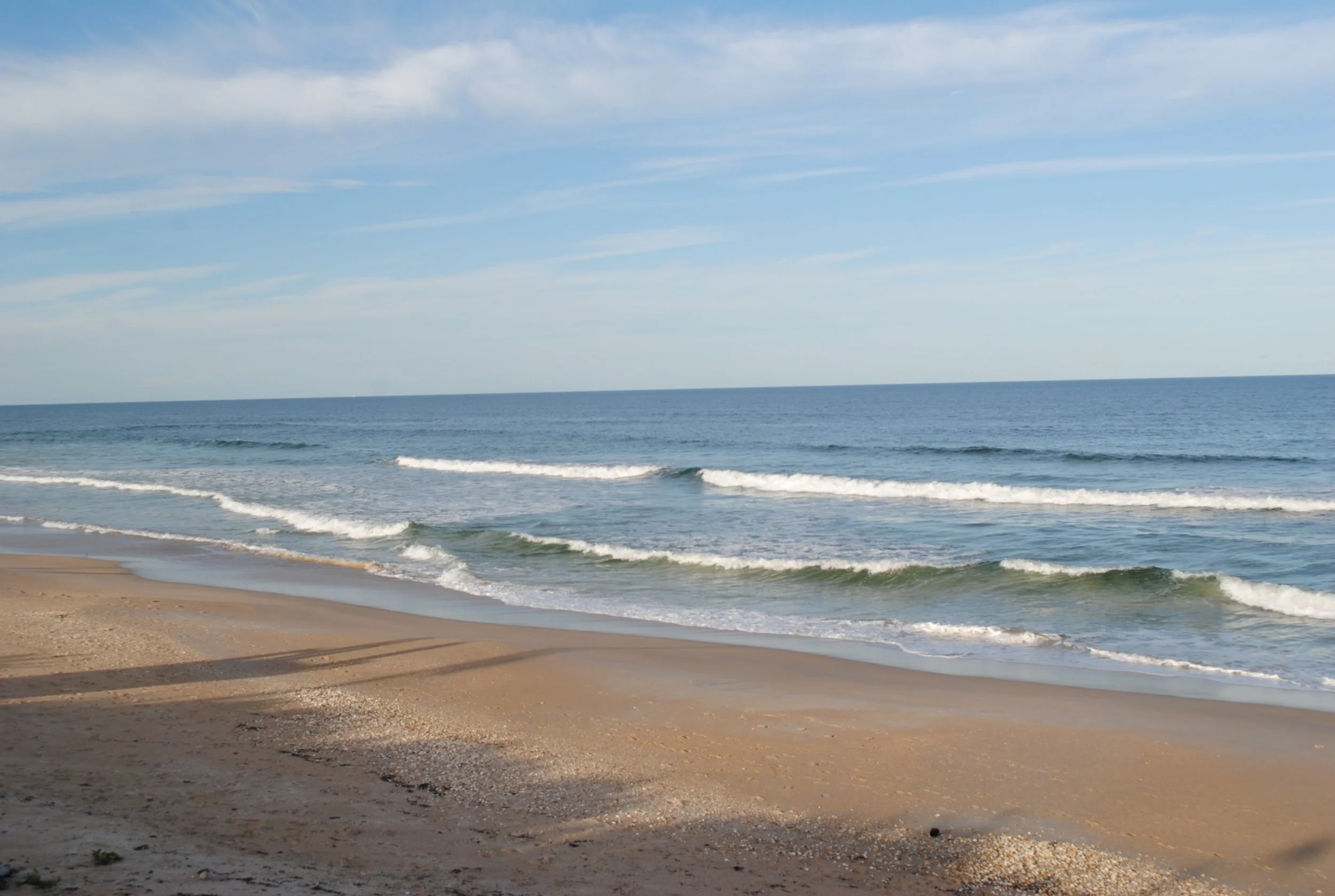 DSC_0101.JPG