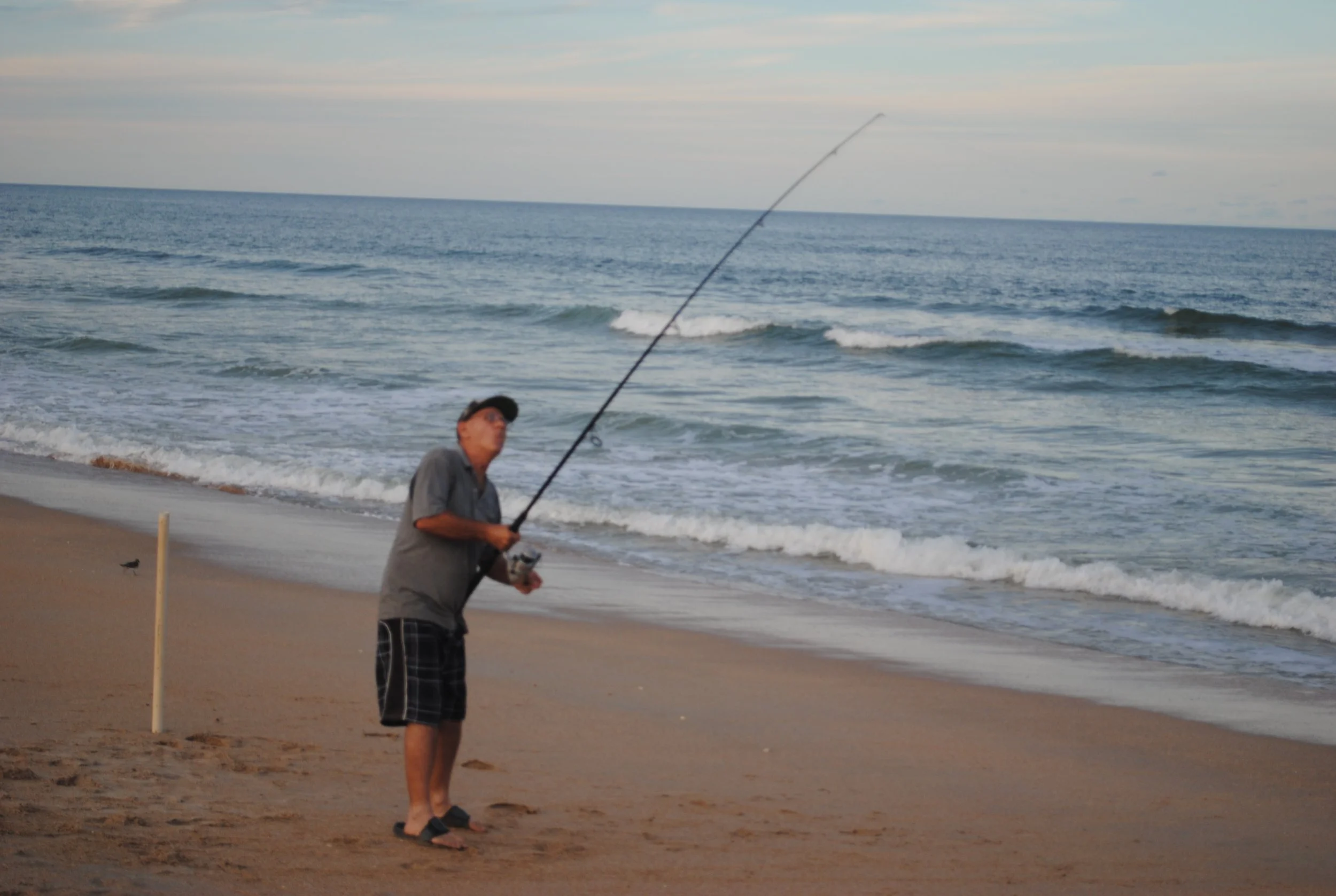DSC_0184.JPG
