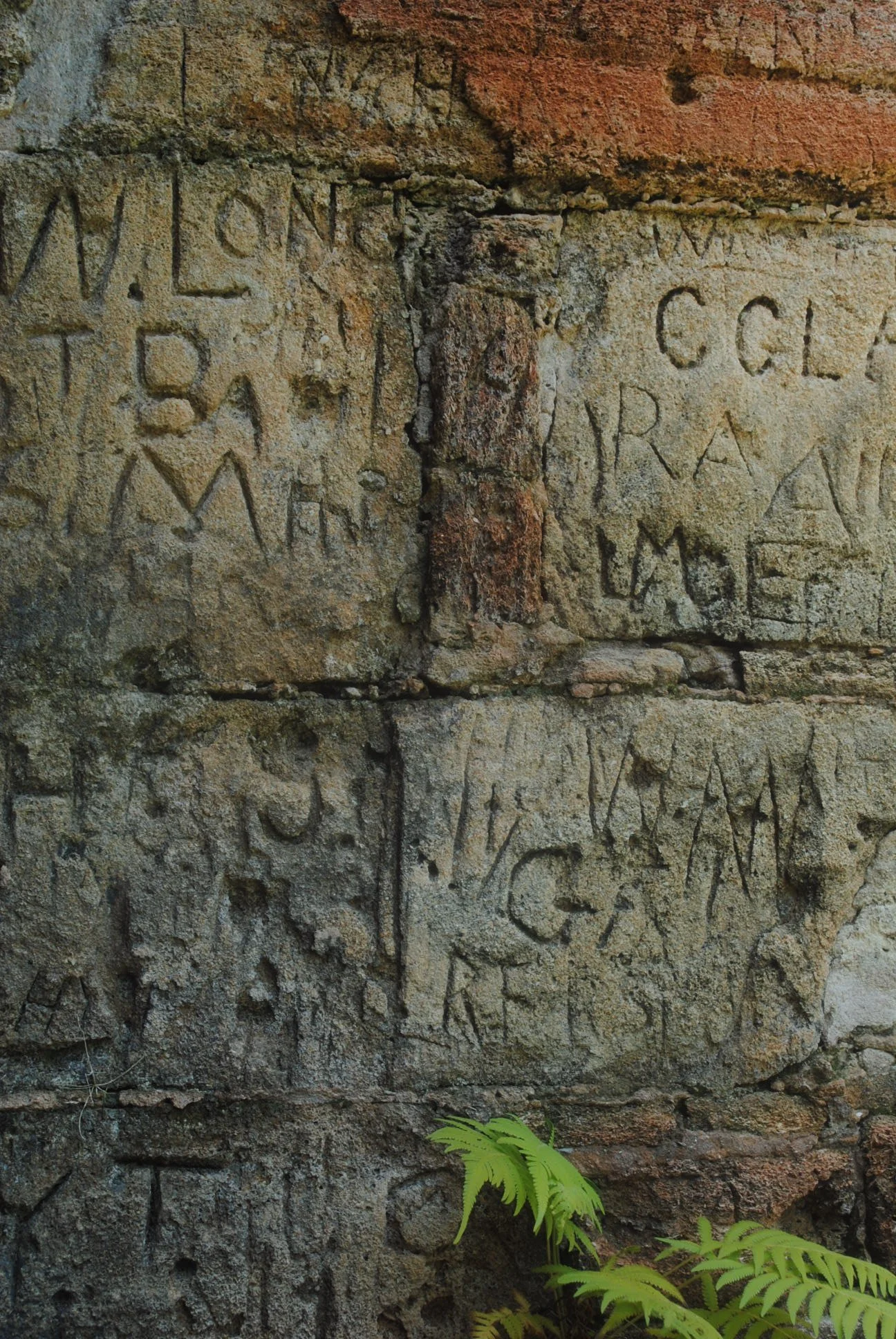 DSC_0372.JPG