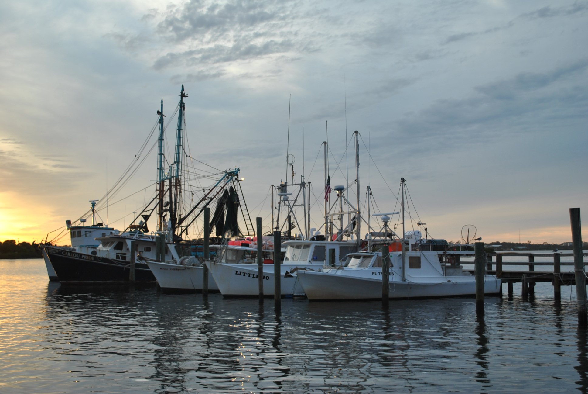 DSC_0730.JPG