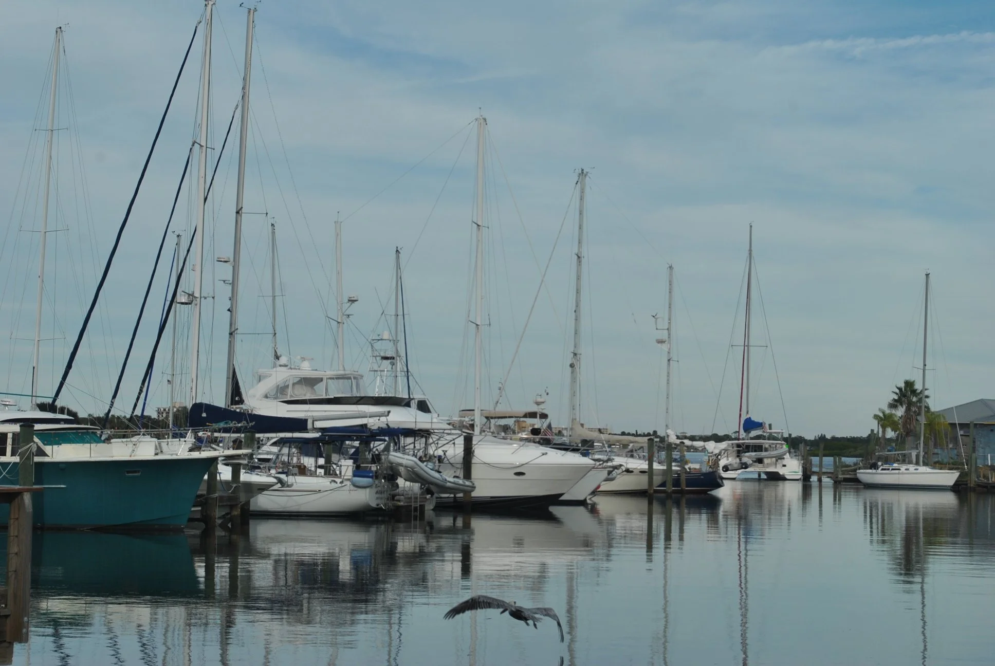 DSC_0225.JPG
