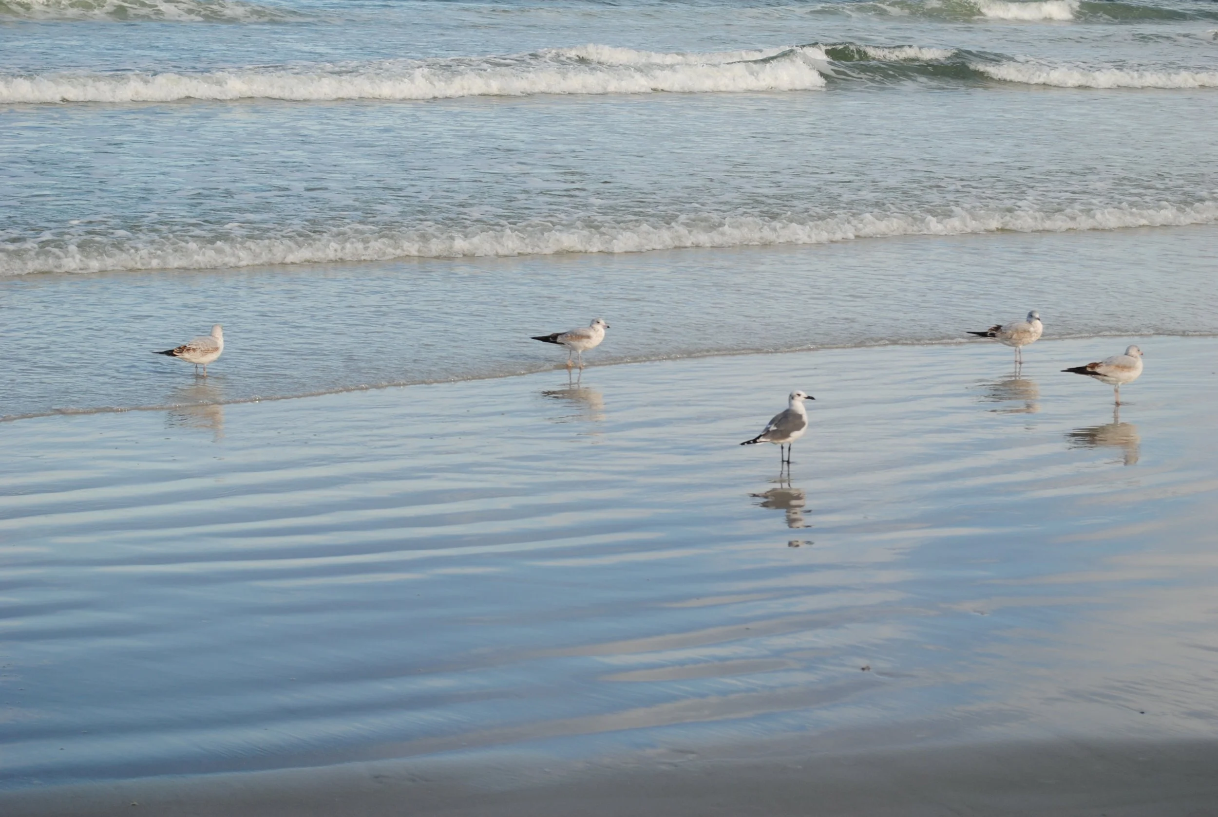 DSC_0071.JPG