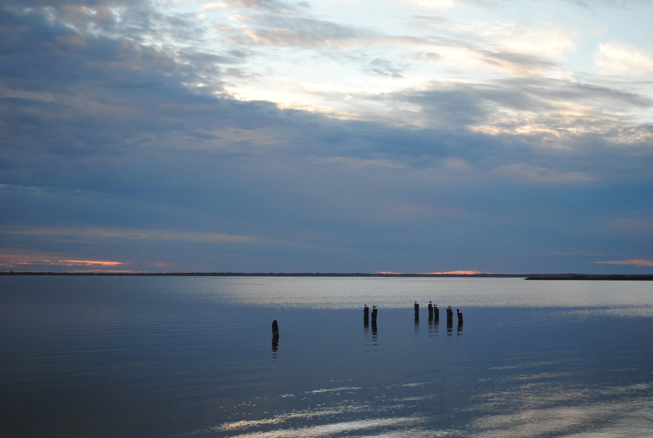 DSC_0200.JPG