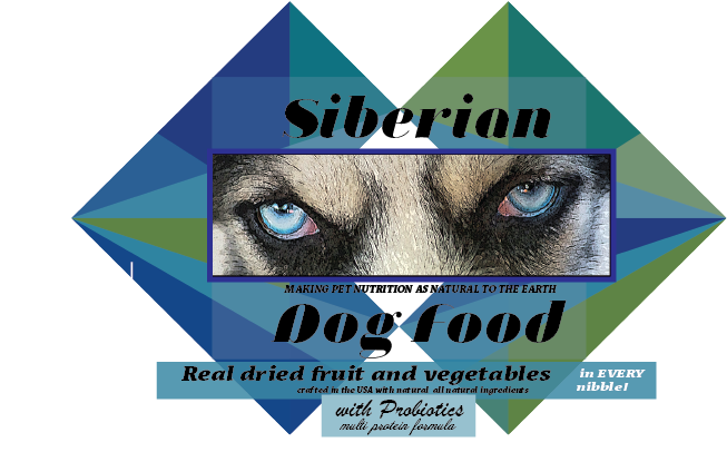 Logo - Where instinct meets real nourishment