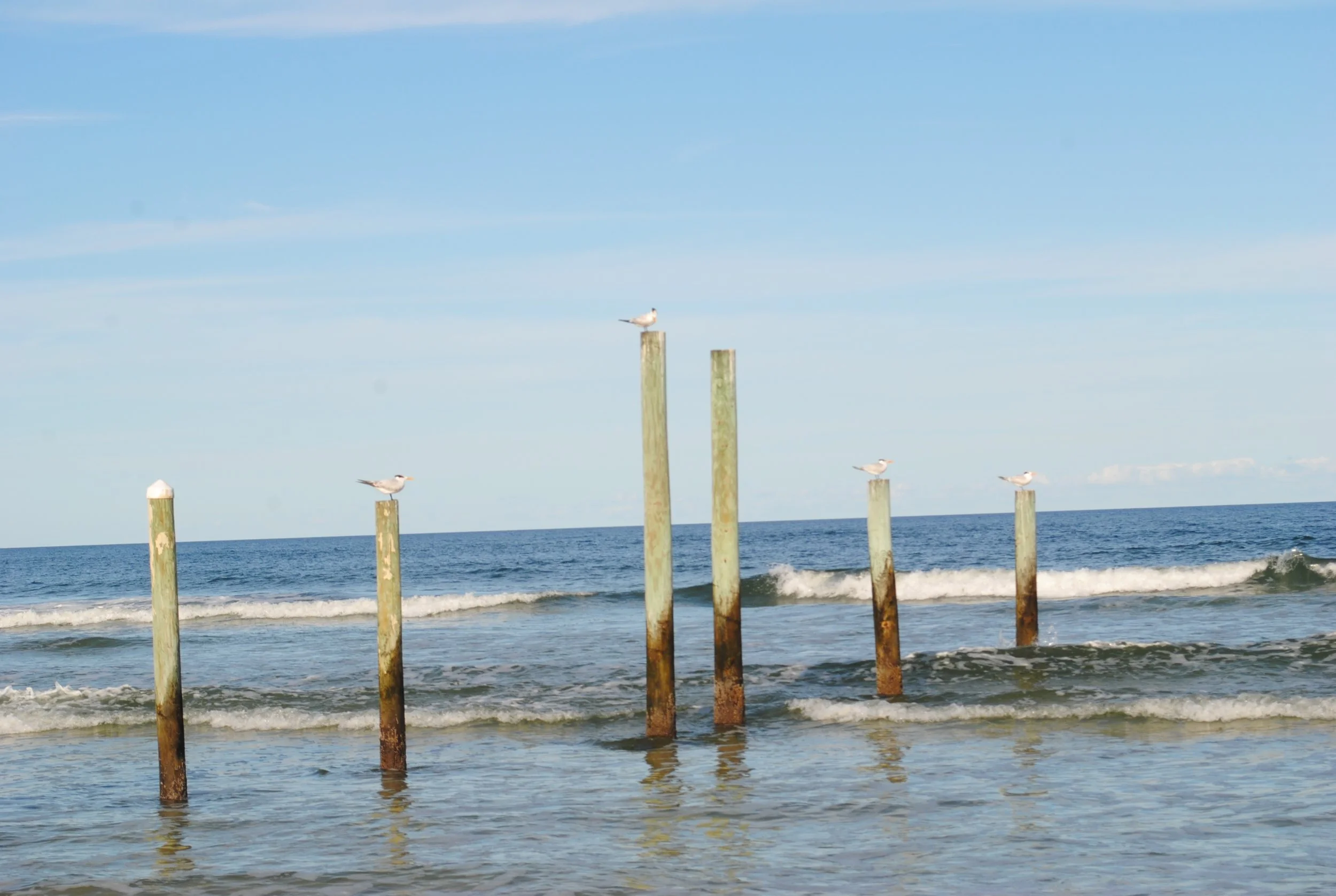 DSC_0069.JPG
