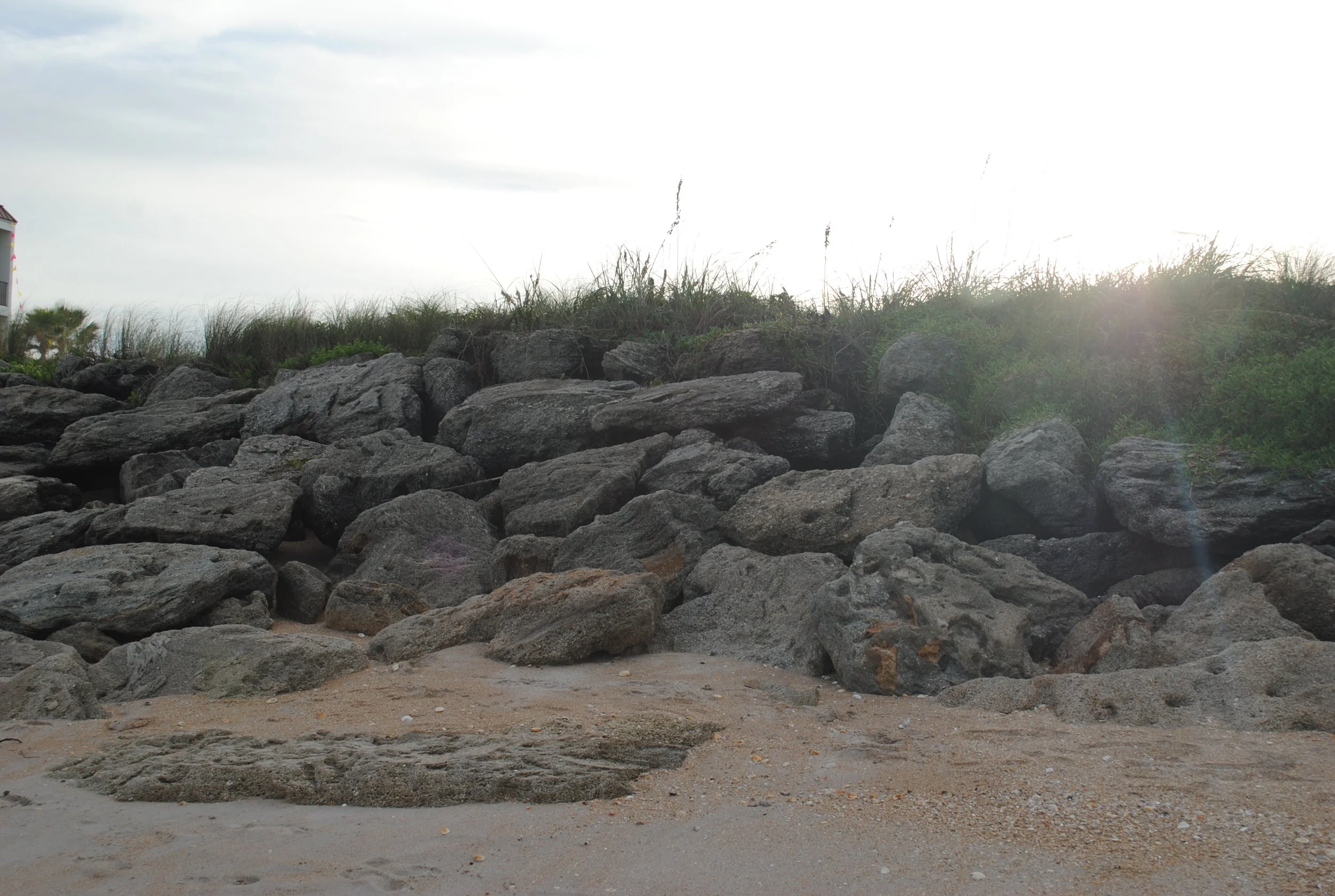 DSC_0133.JPG