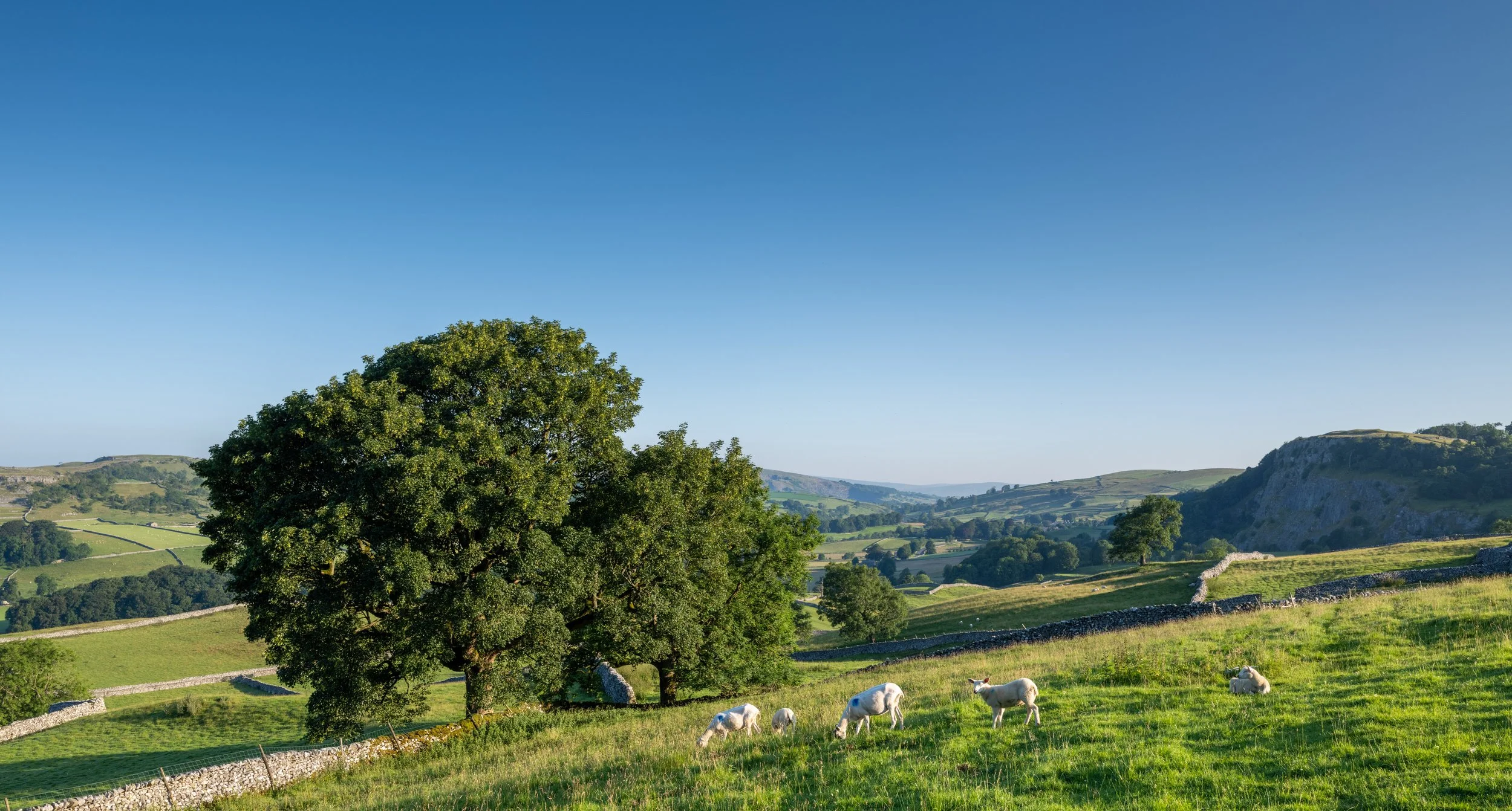 Settle | Yorkshire Dales