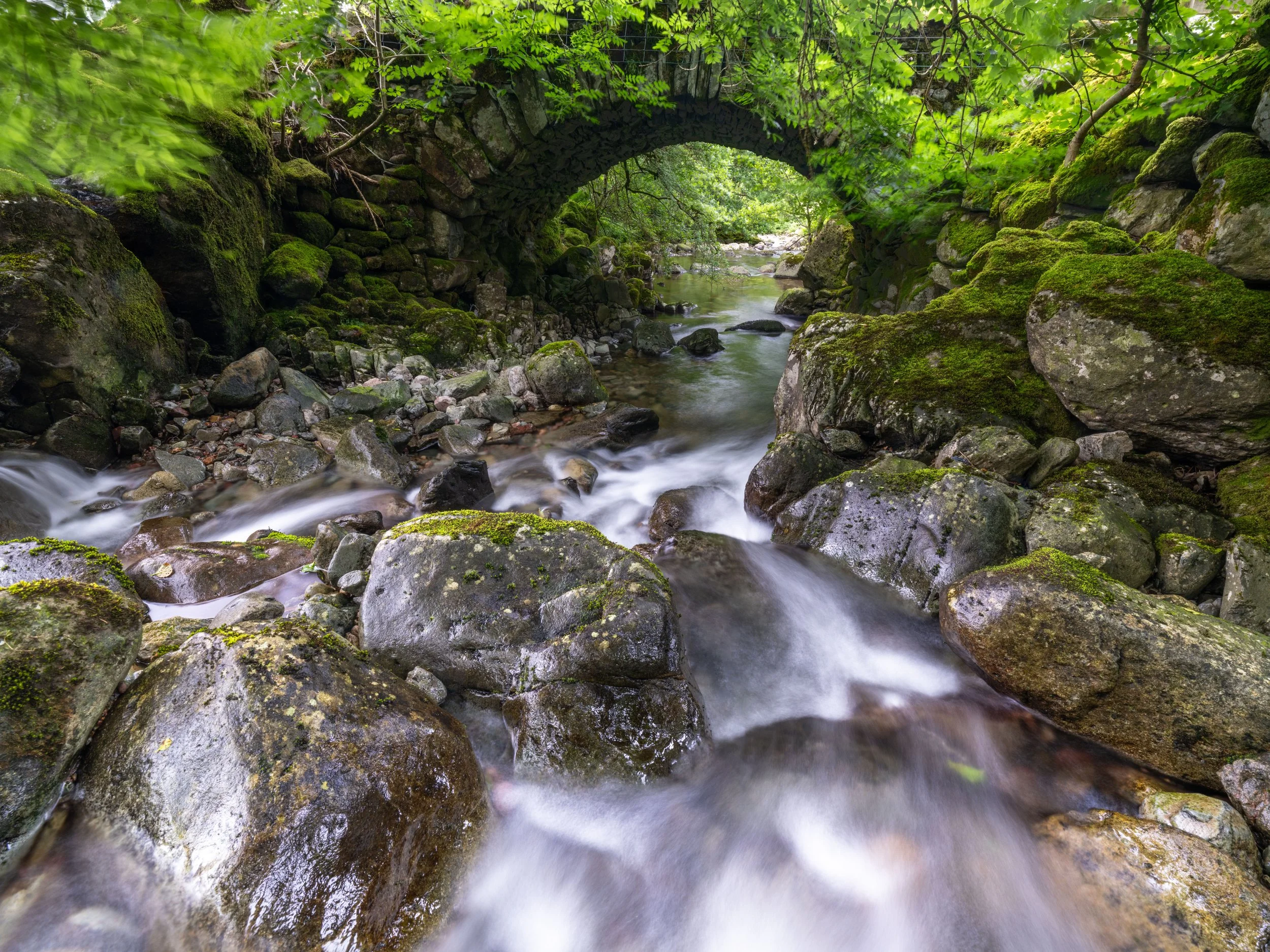 Borrowdale | Lakes