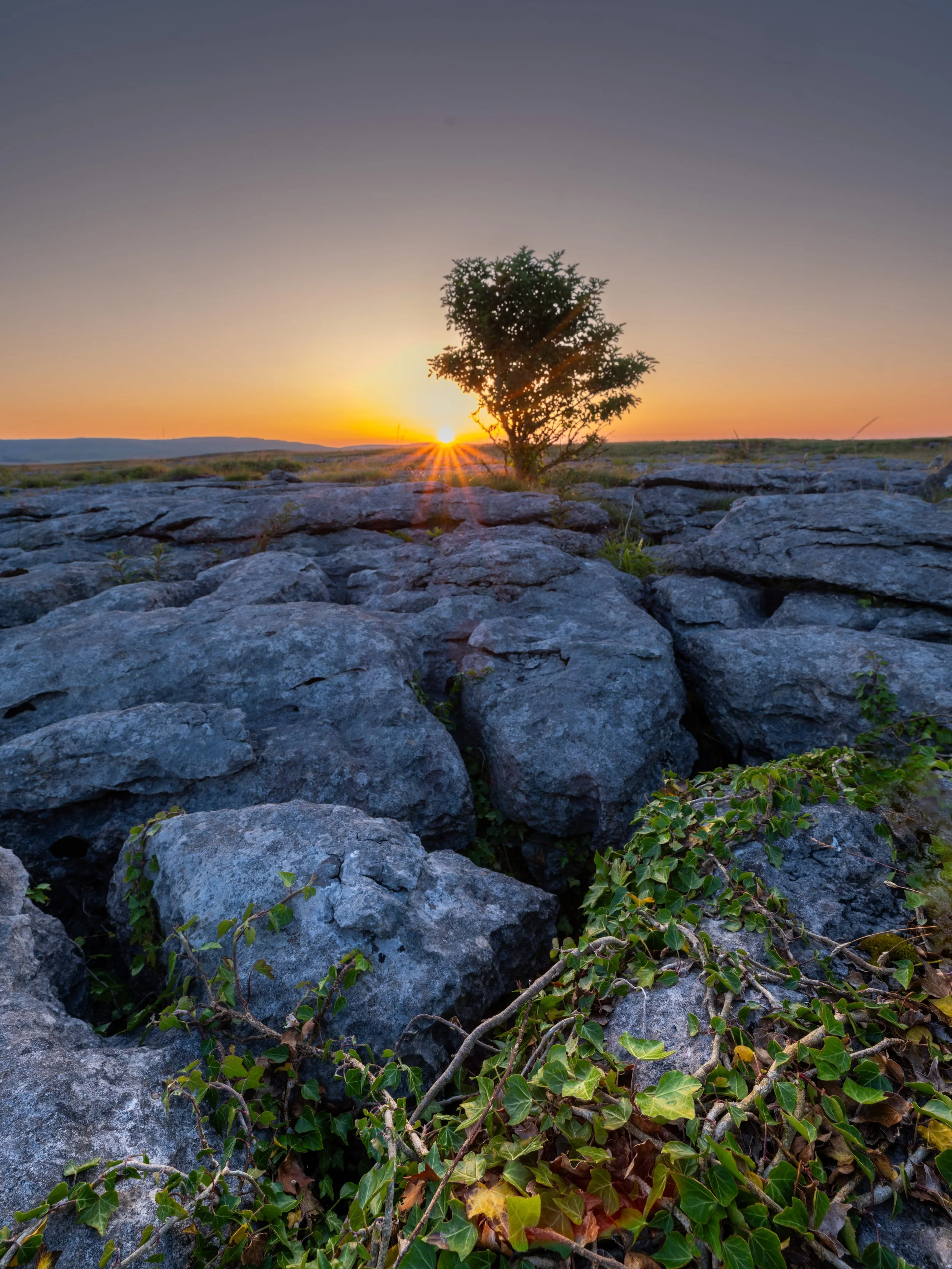 Limestone Pavement | Malham | Yorkshire Dales