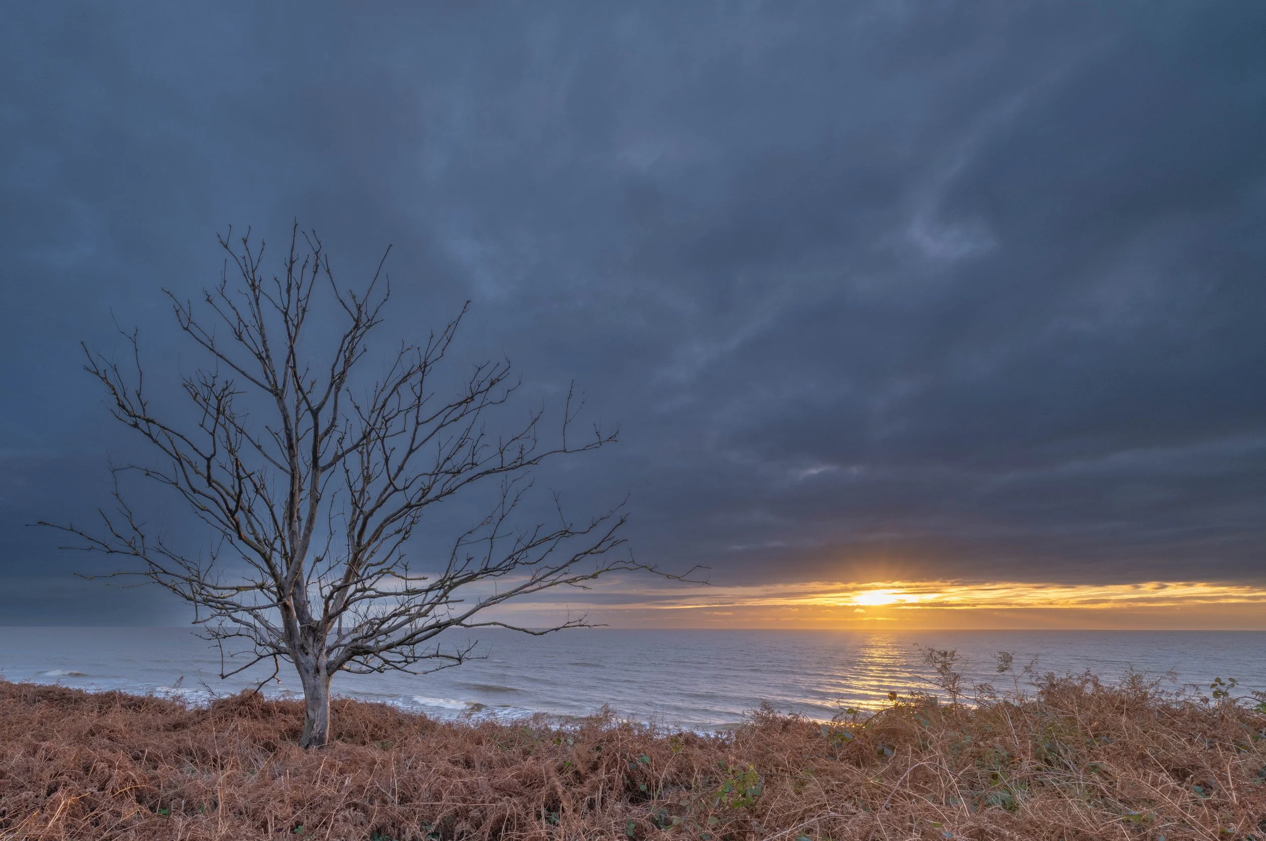 Covehithe Beach | Suffolk