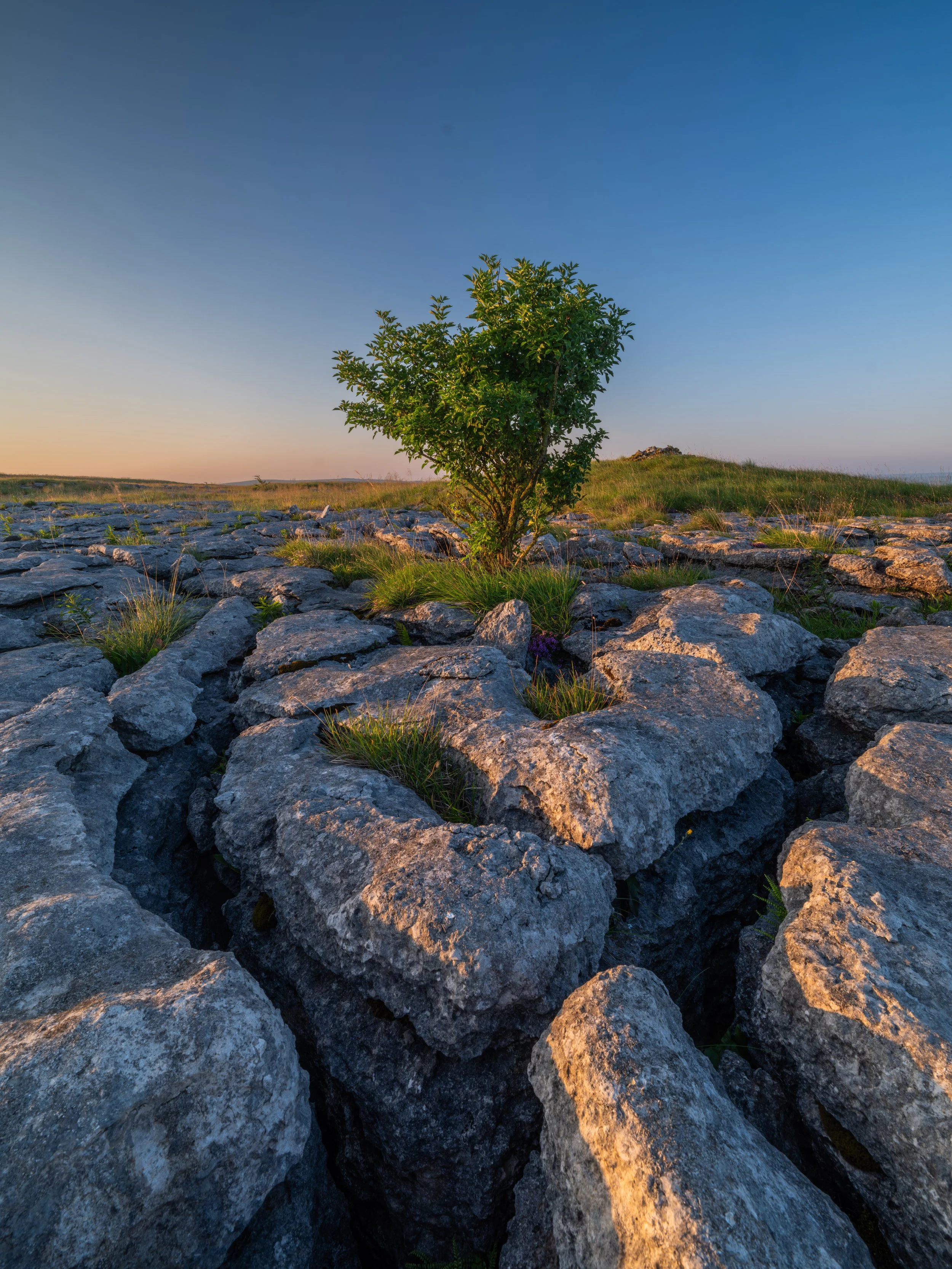Limestone Pavement | Malham | Yorkshire Dales