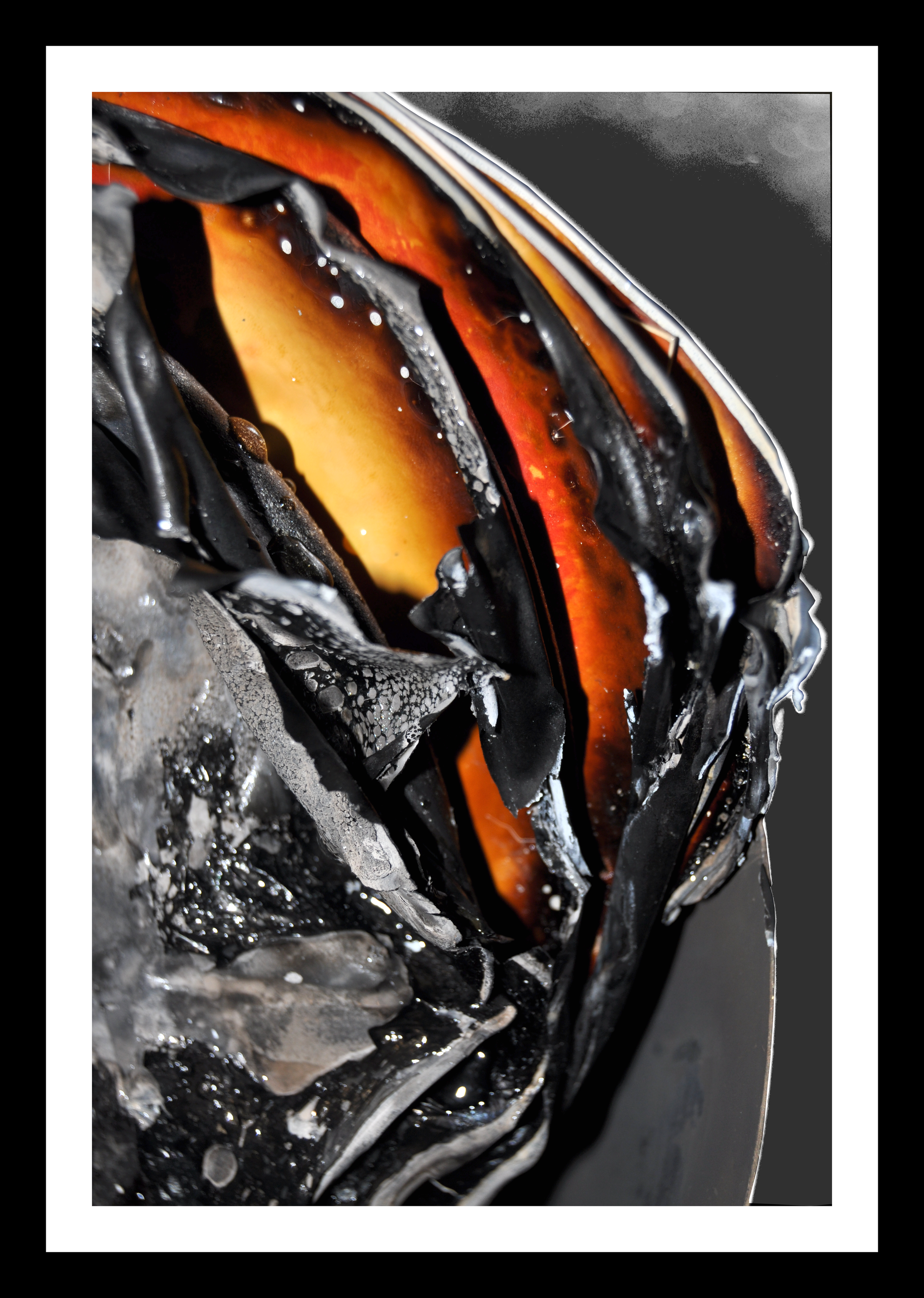 Close-up abstract photograph of charred and peeling organic textures in black, silver, and glowing orange tones.