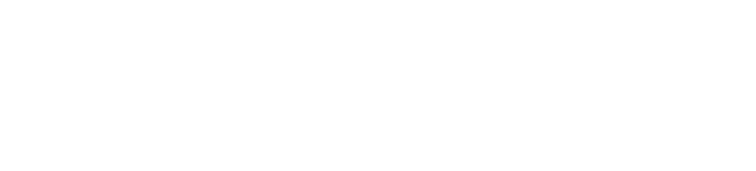 Iris Academic Coaching