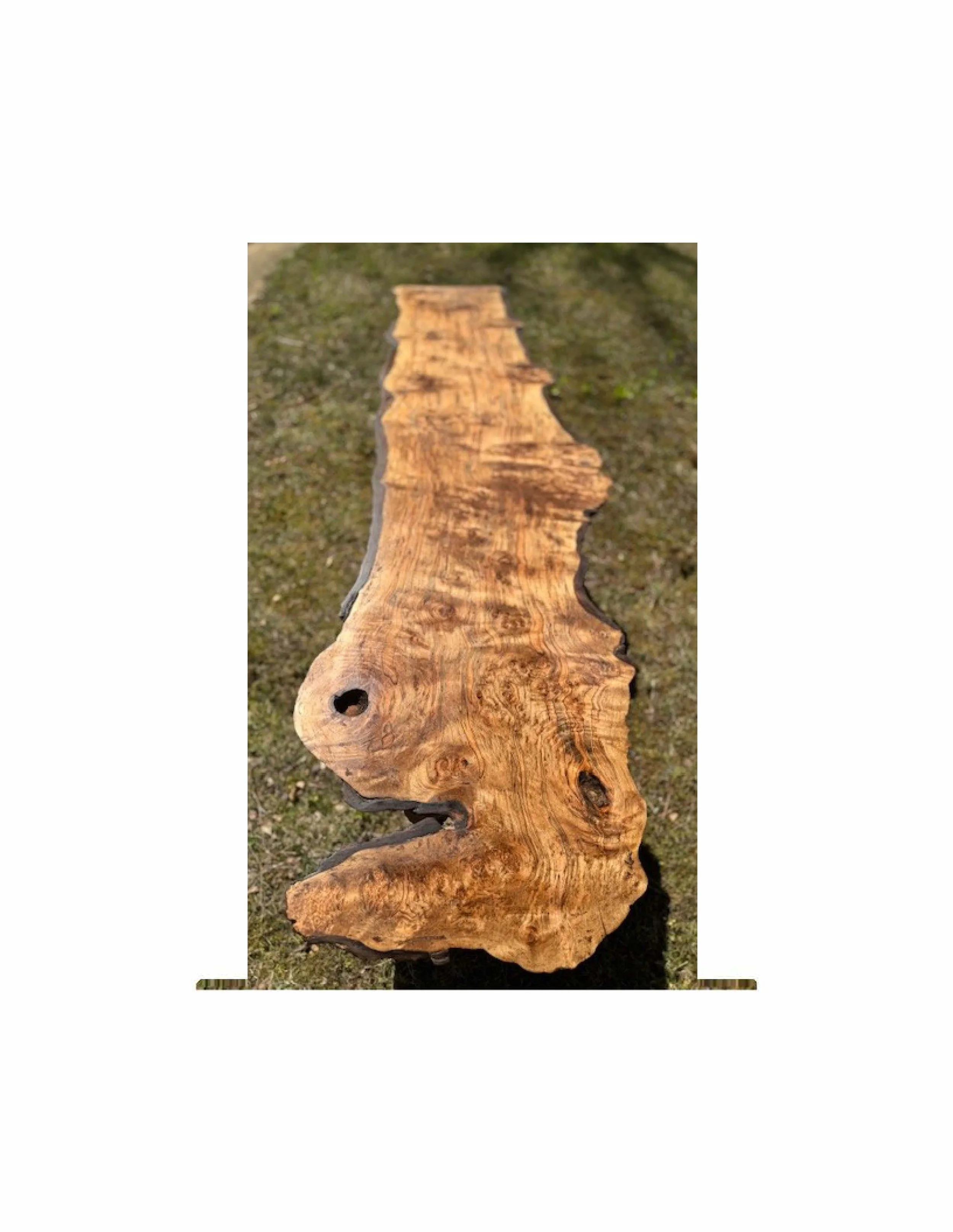 Burl 6.jpg