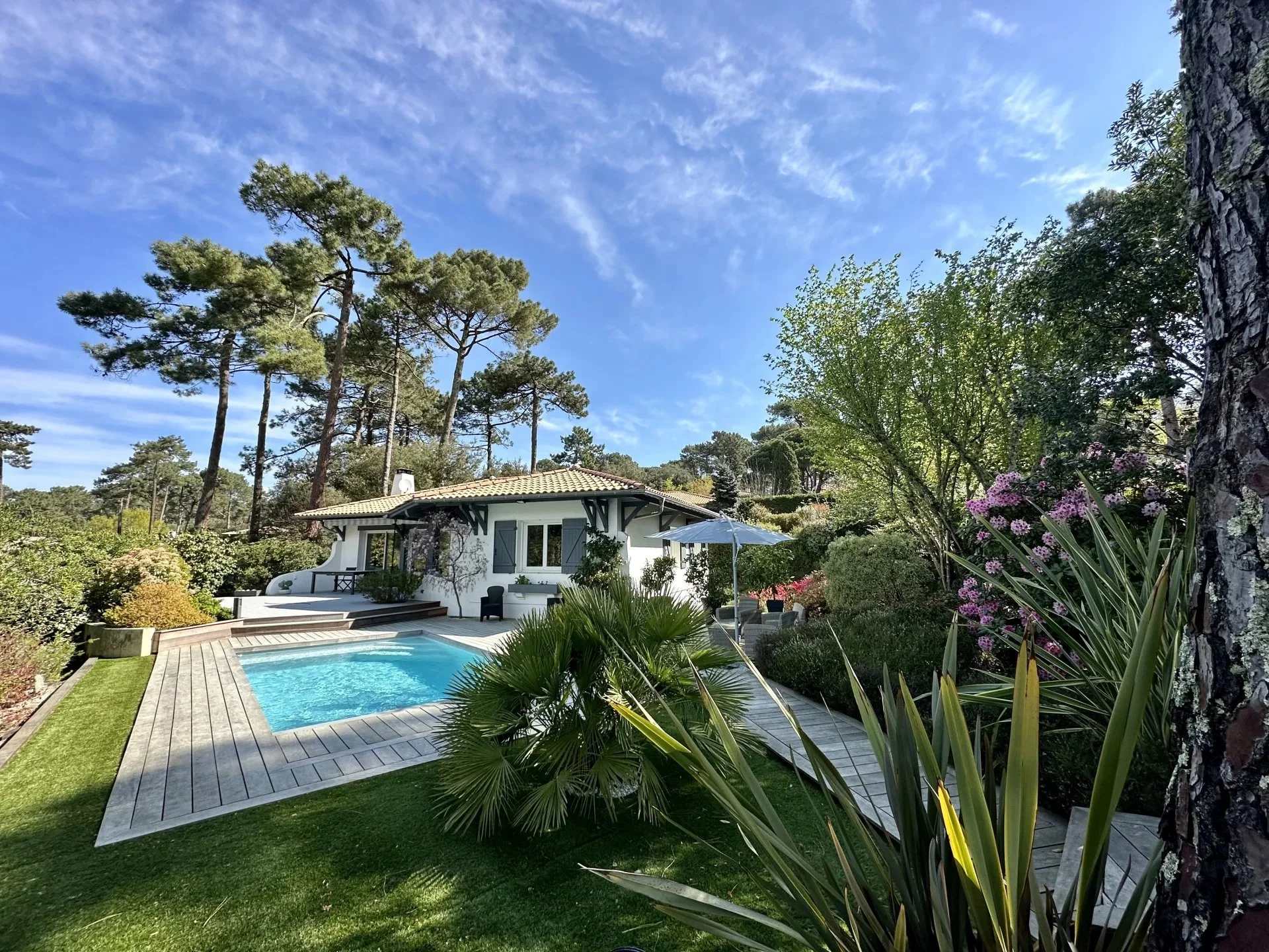 Piscine extérieure au jardin avec maison blanc, grand arbre et ciel bleu en arrière-plan.