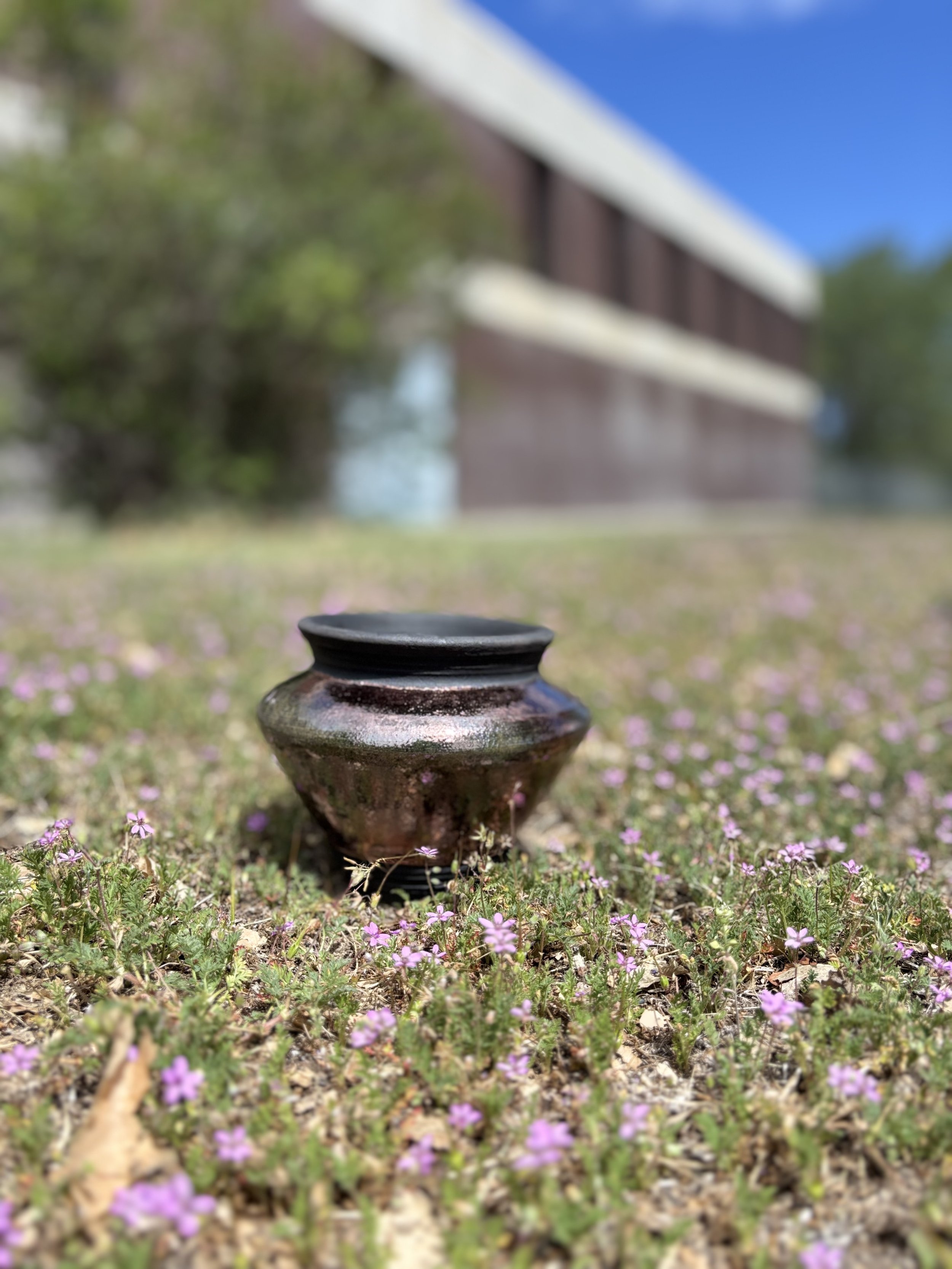 IMG_1040.jpeg