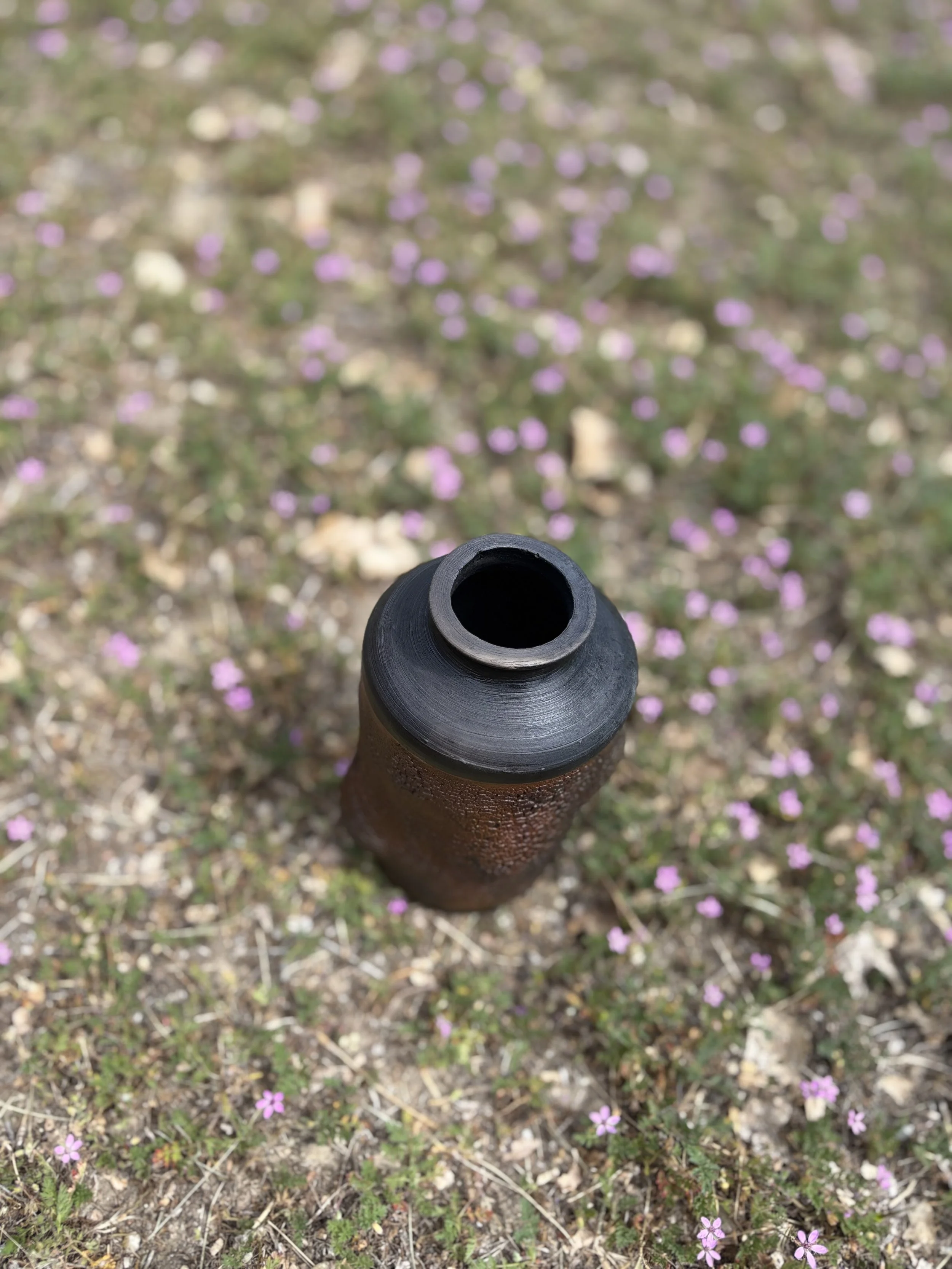 IMG_1045.jpeg