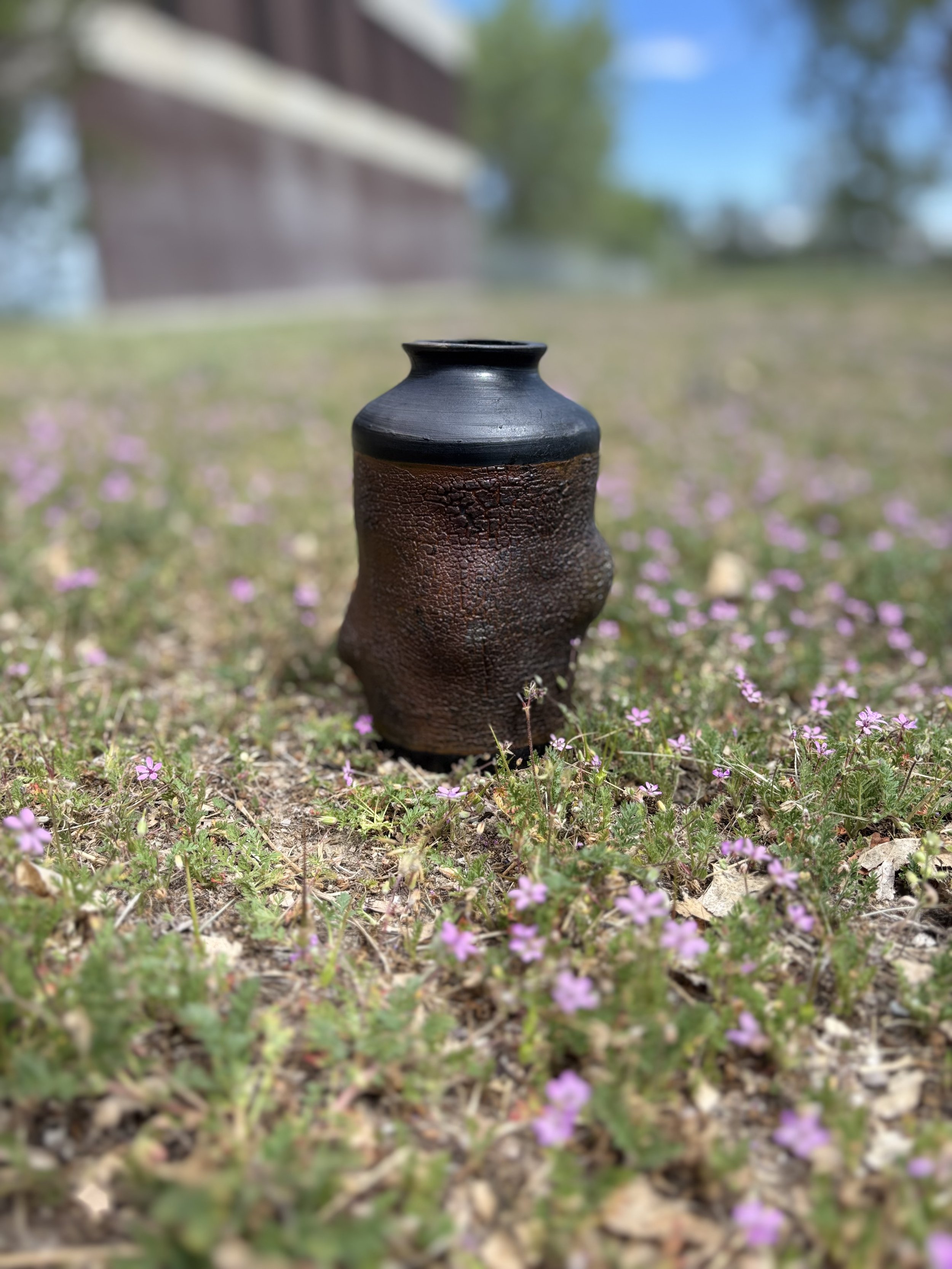IMG_1046.jpeg
