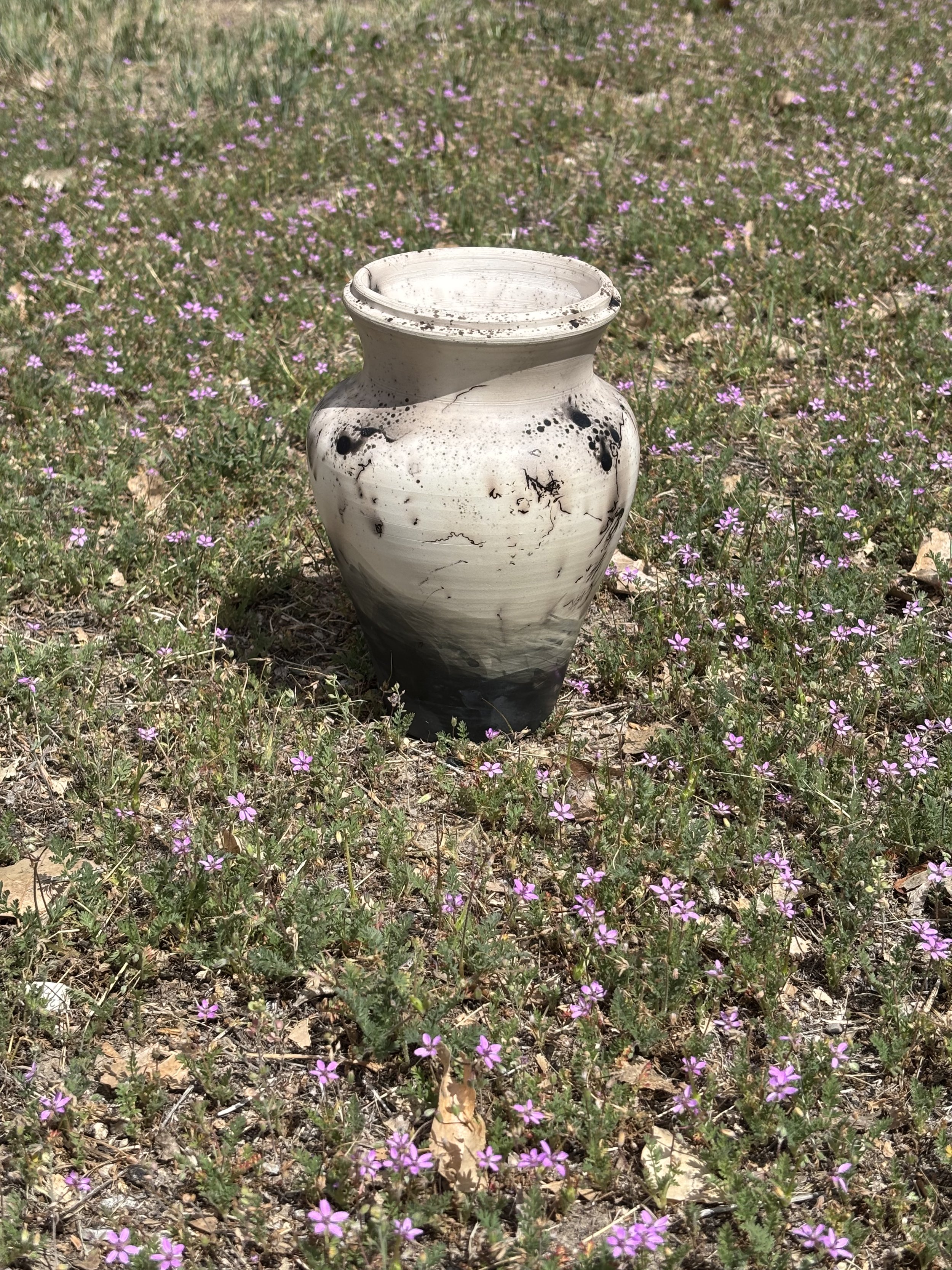 IMG_1028.jpeg
