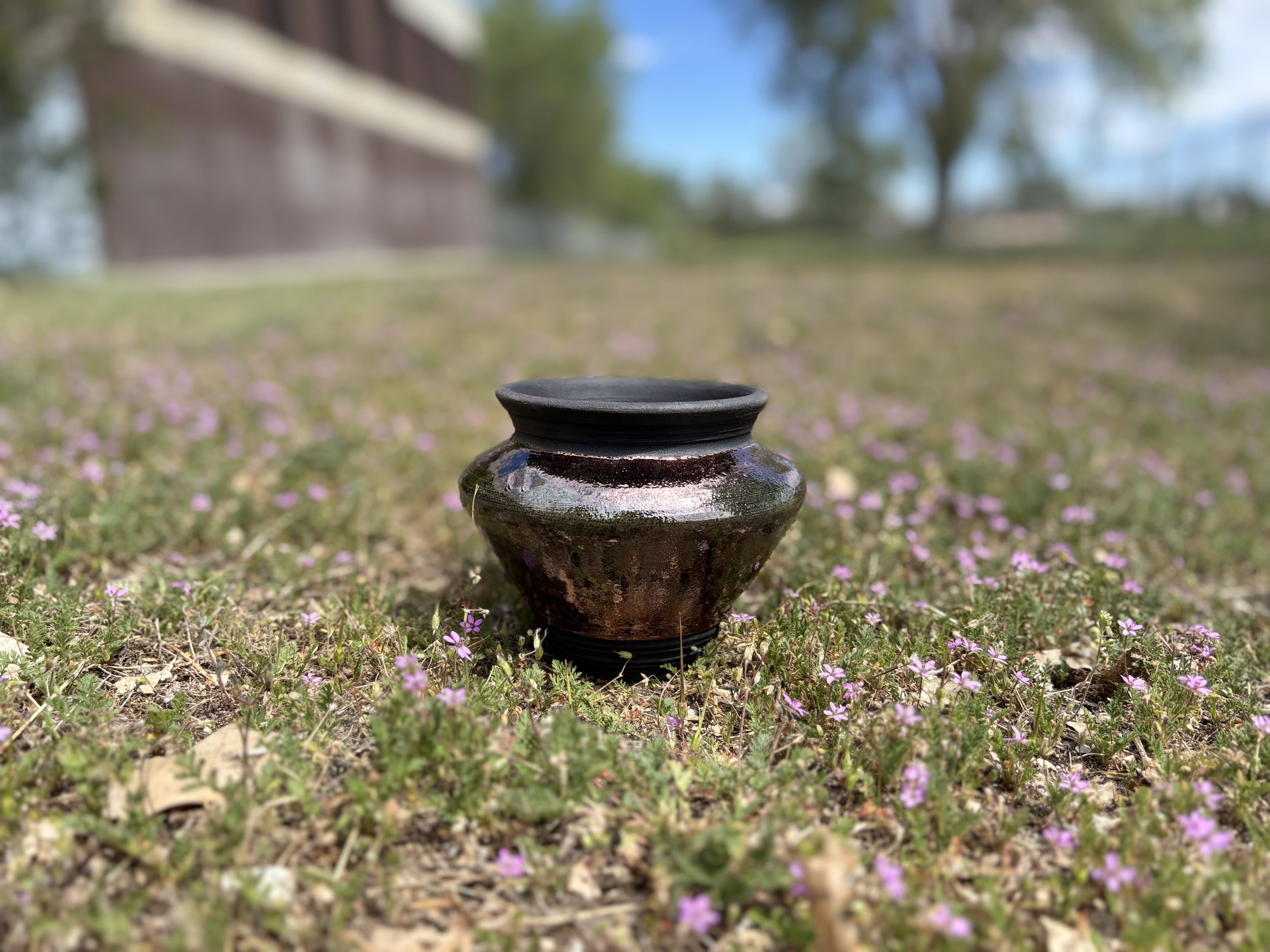 IMG_1041.jpeg