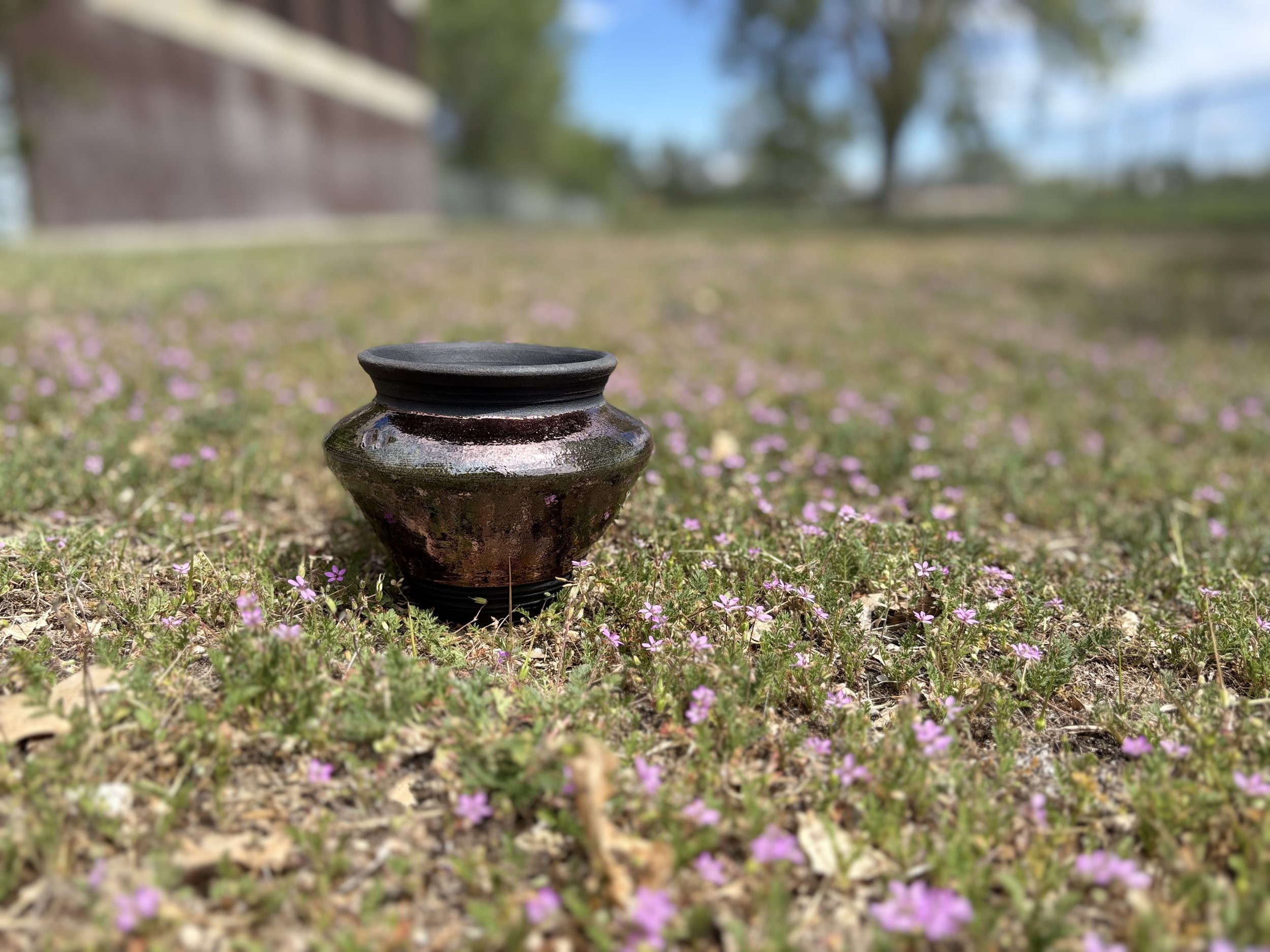 IMG_1042.jpeg