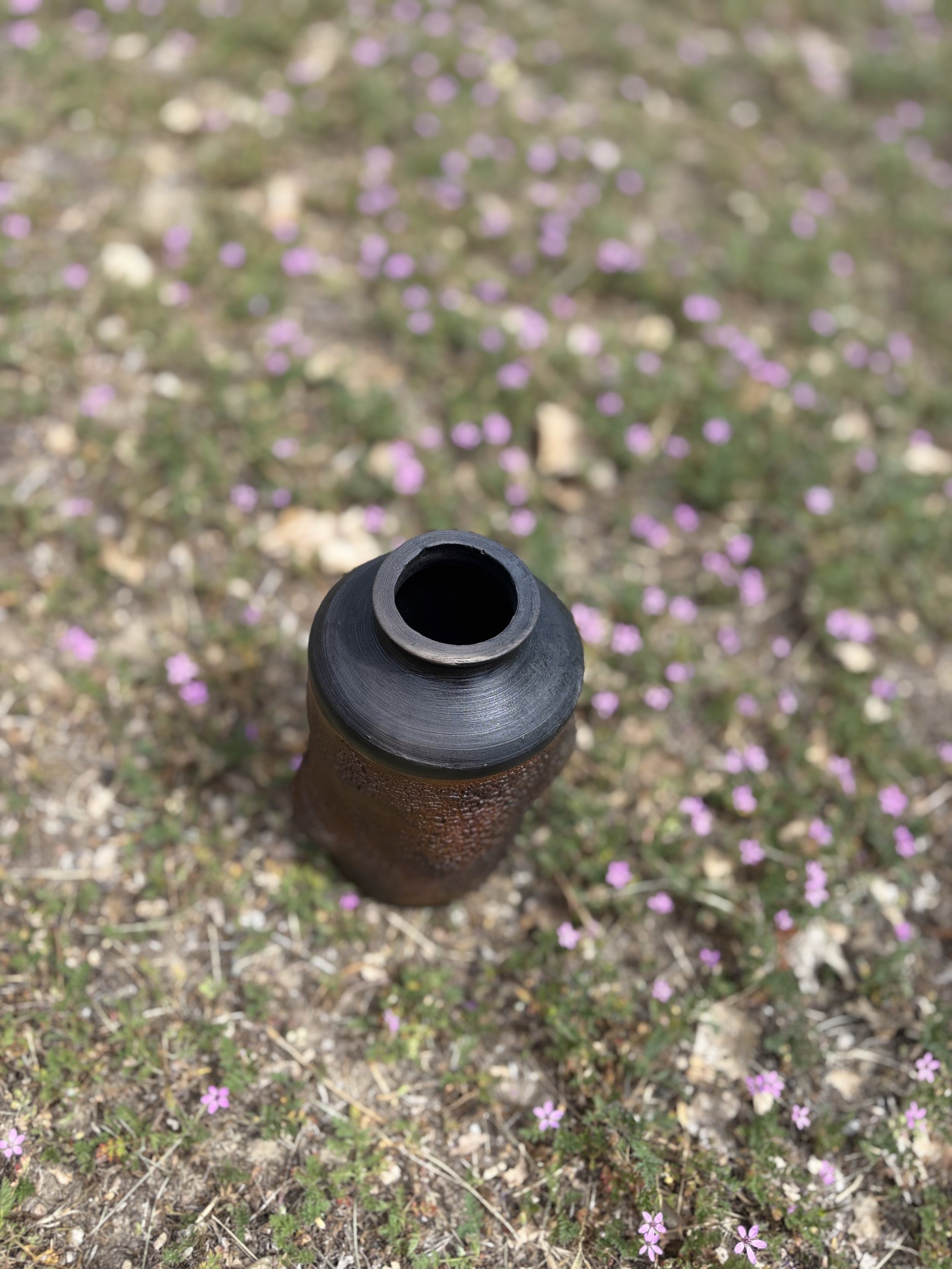 IMG_1044.jpeg