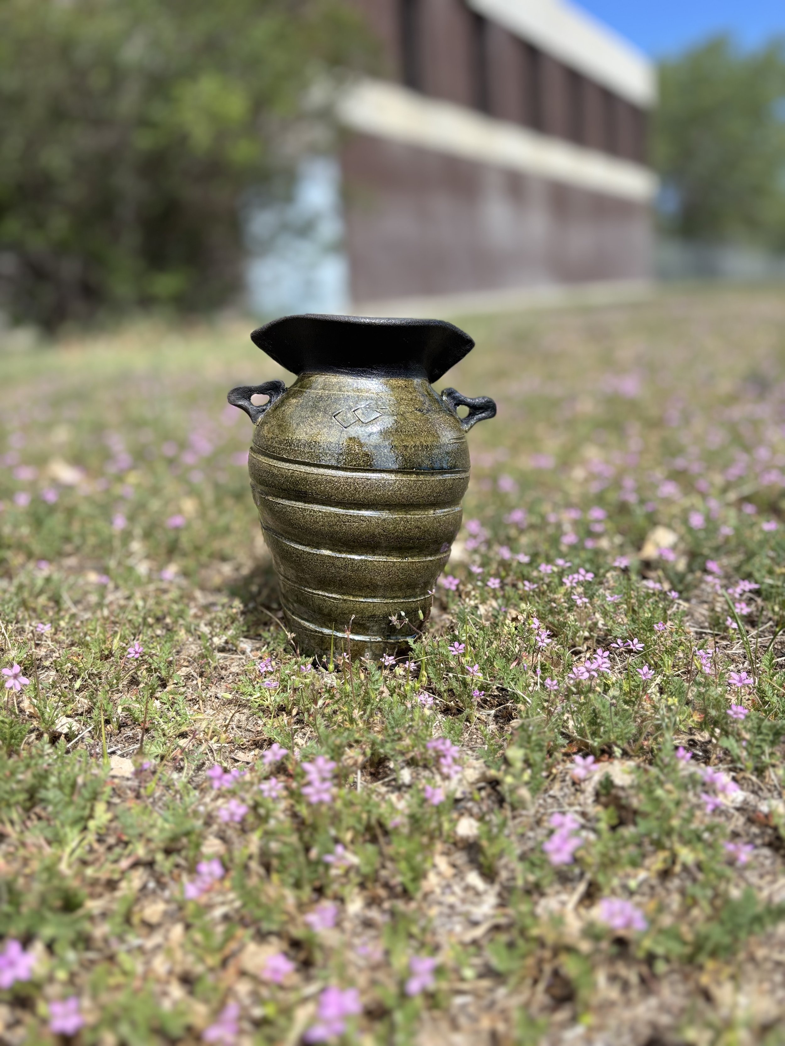 IMG_1034.jpeg