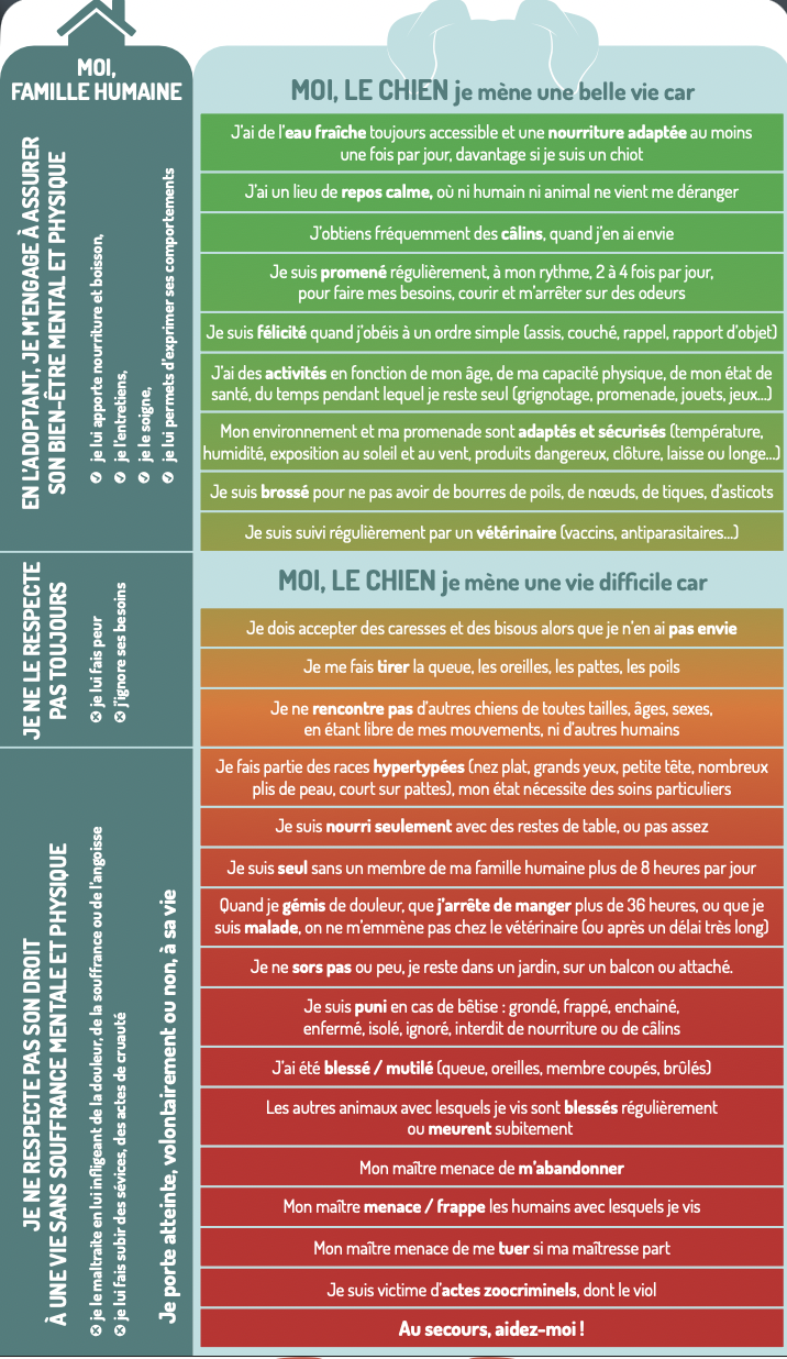 Infographie en français détaillant l'engagement envers les chiens, avec des listes de comportements positifs et négatifs, et les impacts sur la santé mentale et physique.
