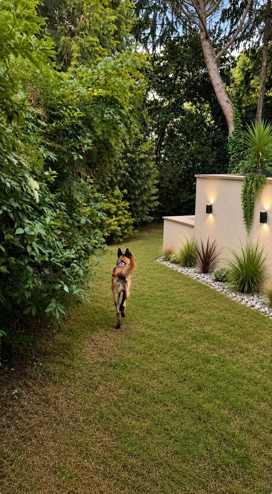 Espace extérieur naturel du Club MuZo Futé pour l’exploration et le bien-être du chien