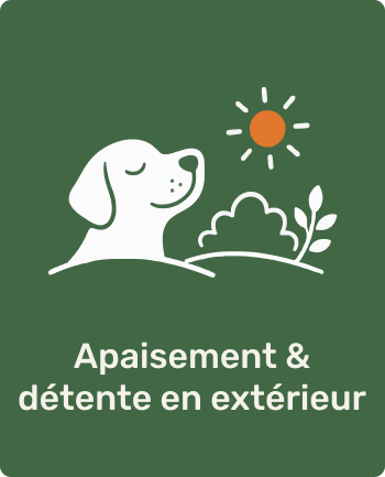 Icône d'un chien avec un soleil, des buissons et une plante, avec le texte 'Apaisement & détente en extérieur'.