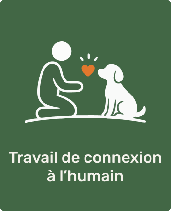 Illustration d'une personne et d'un chien avec un cœur entre eux, représentant le travail de connexion à l'humain.