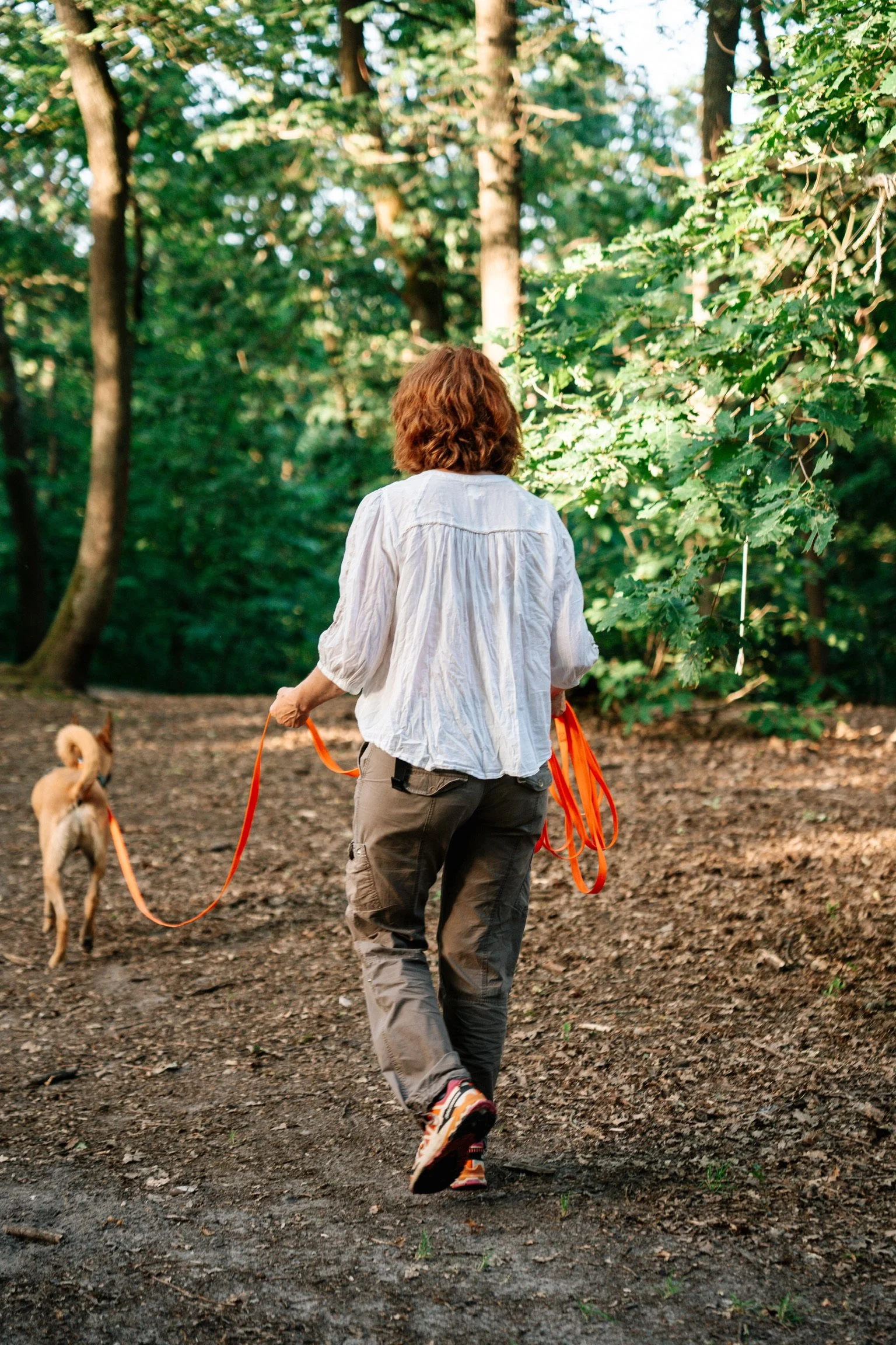 Balade éducative en longe dans un environnement naturel adapté au rythme du chien