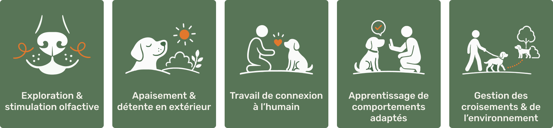 Infographies représentant différentes étapes du bien-être animal : exploration et stimulation olfactive, apaisement et détente en extérieur, travail de connexion à l'humain, apprentissage de comportements adaptés, gestion des croisements et de l'environnement.