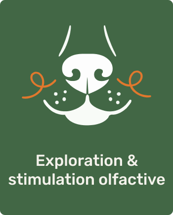 Illustration d'un nez de chien avec l'inscription 'Exploration & stimulation olfactive'