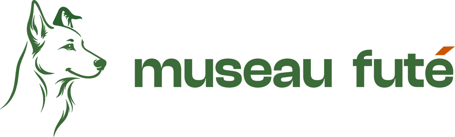 muzo futé
