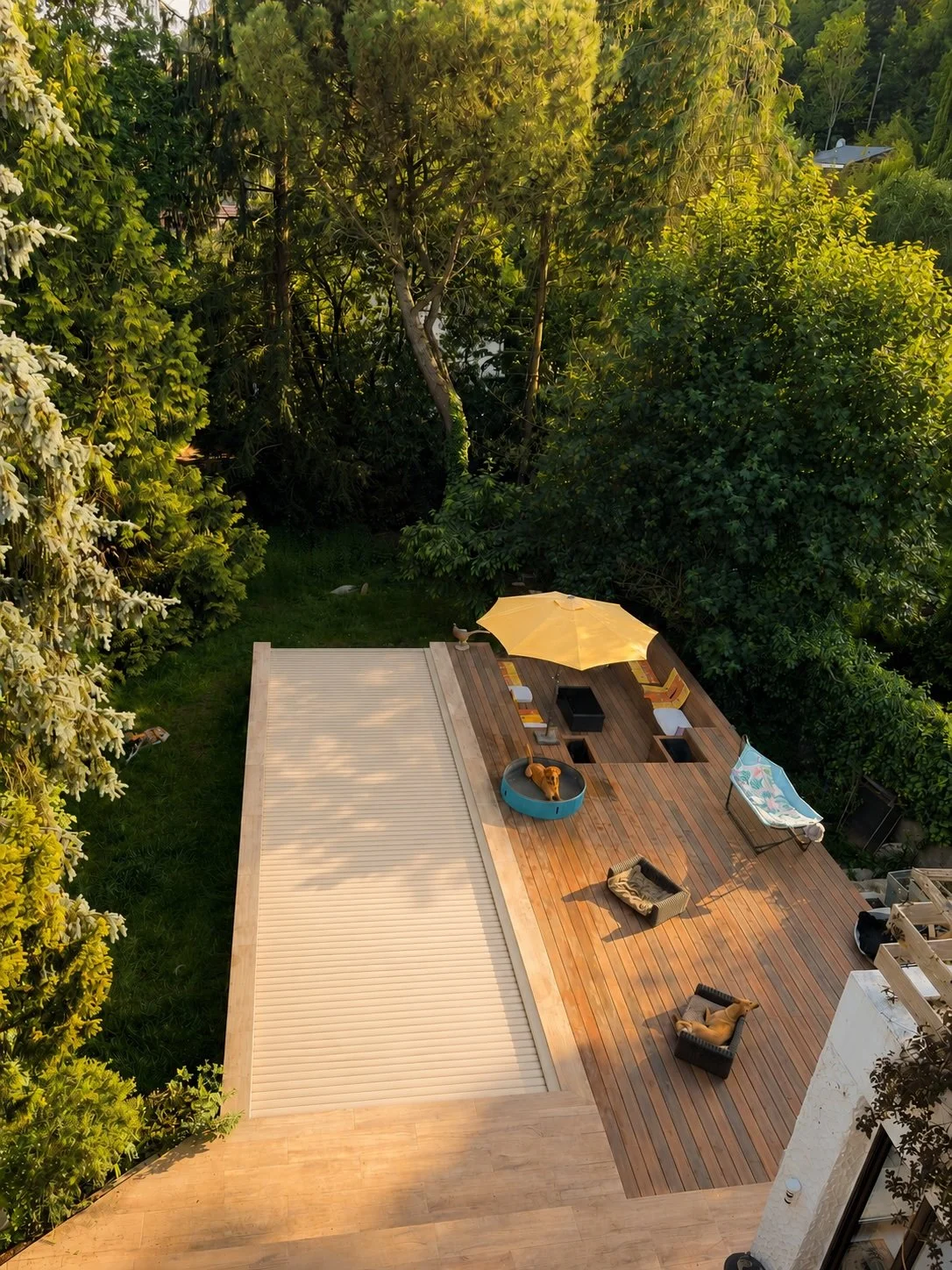 Une terrasse en bois avec un parasol jaune, un chien dans une piscine ronde, des chaises longues, des coussins, et entourée d'arbres et de végétation.