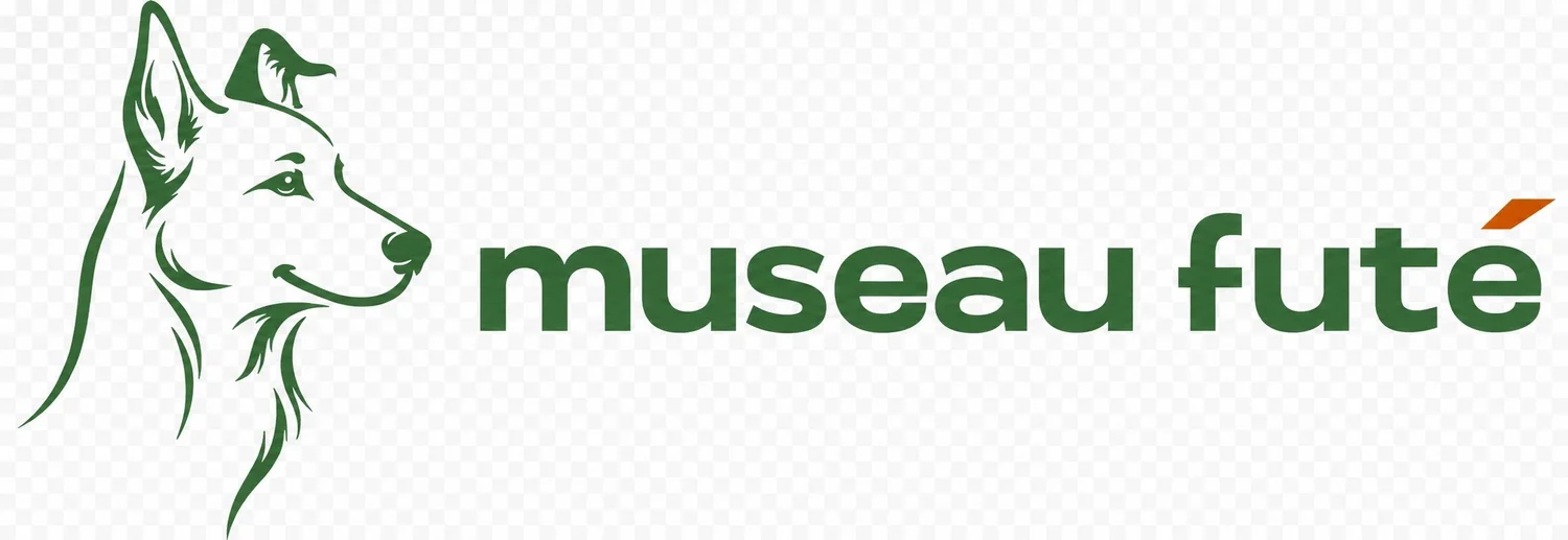 muzo futé