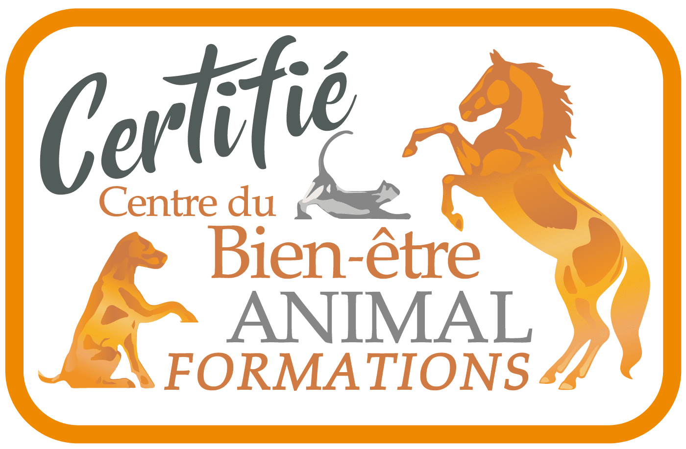 Certification du Centre du Bien-être Animal Formations suivie par Sandrine Goes pour MuZo Futé