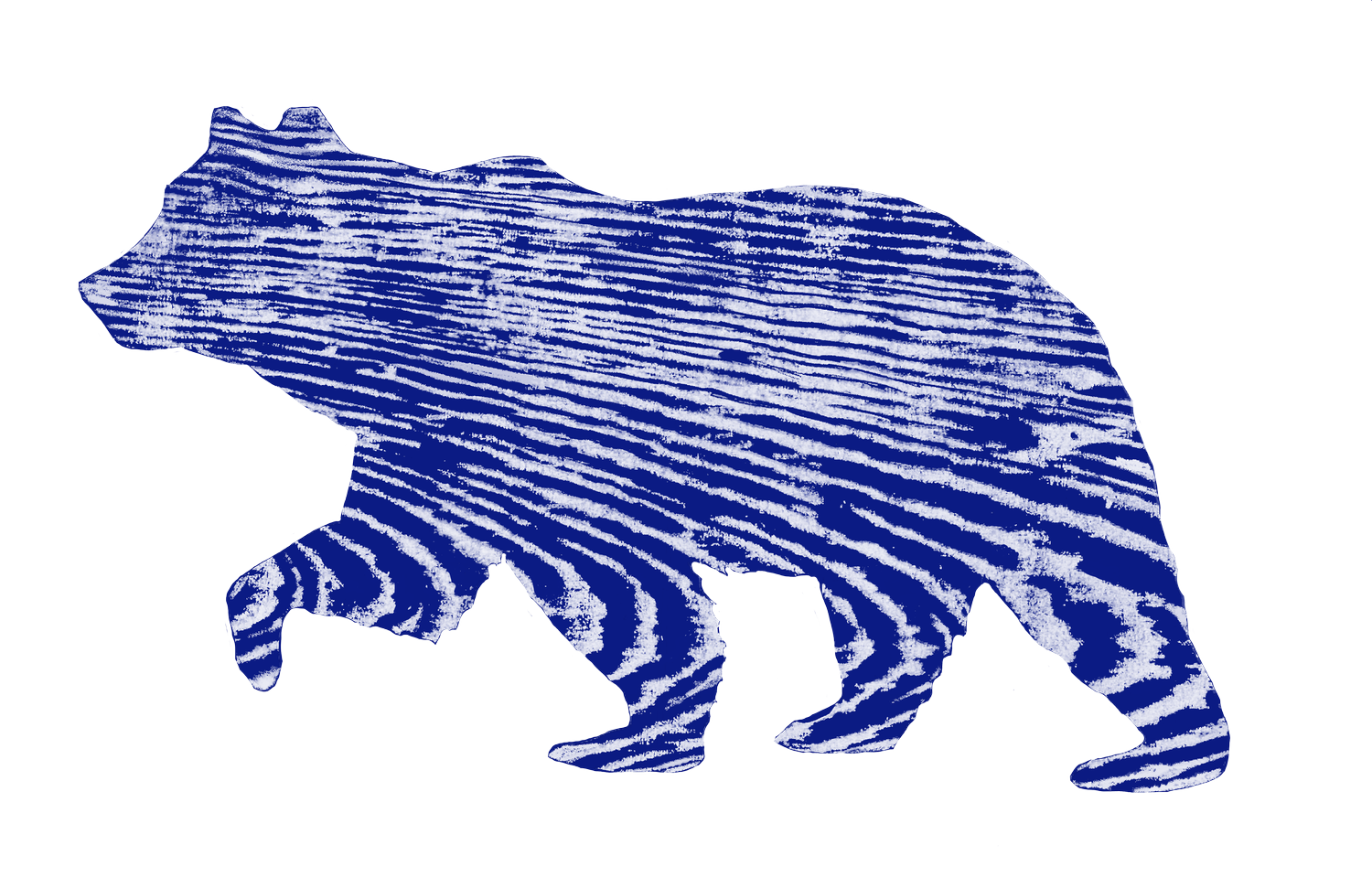 Sail with the Bear
