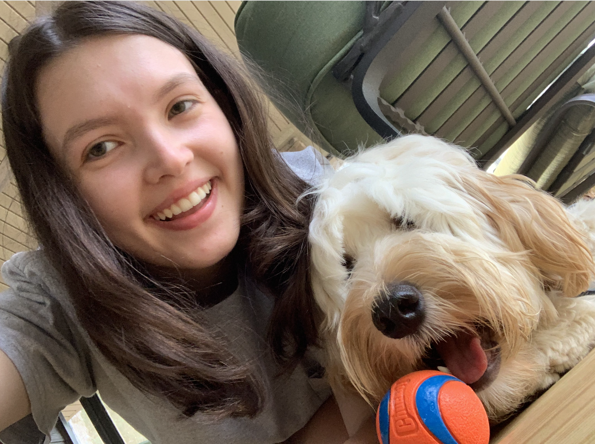 Screenshot 2026-04-03 at 3.47.02 PM.png