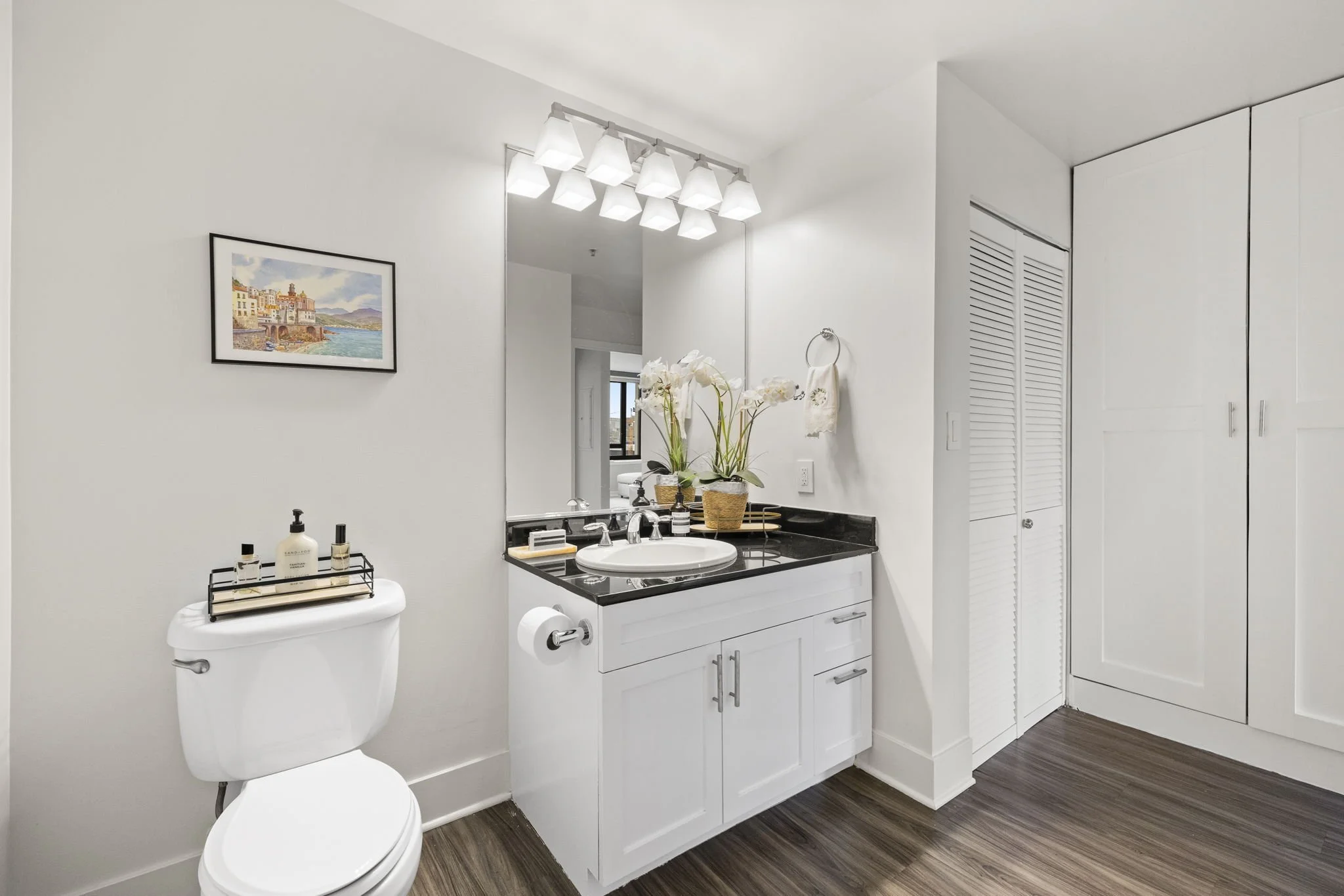 Modern bathroom with white walls, a black granite countertop, a white sink, and a large mirror. Decor includes potted orchids, a wall-mounted towel ring, a framed picture, and a window with city view. There are white cabinets and a nearby closet with