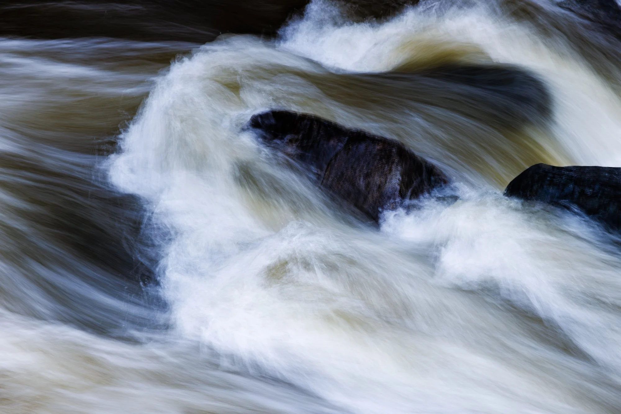 22_Brevda_20260308-_Q2A6638-Edit.jpg