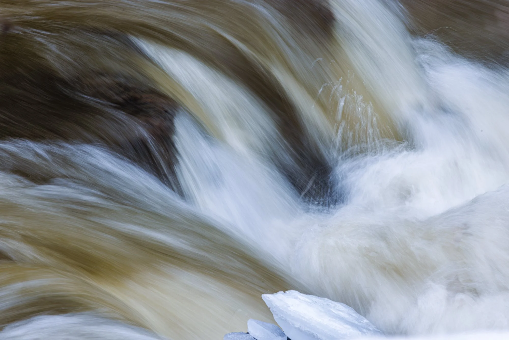 8_Brevda_20260308-_Q2A6624-Edit.jpg