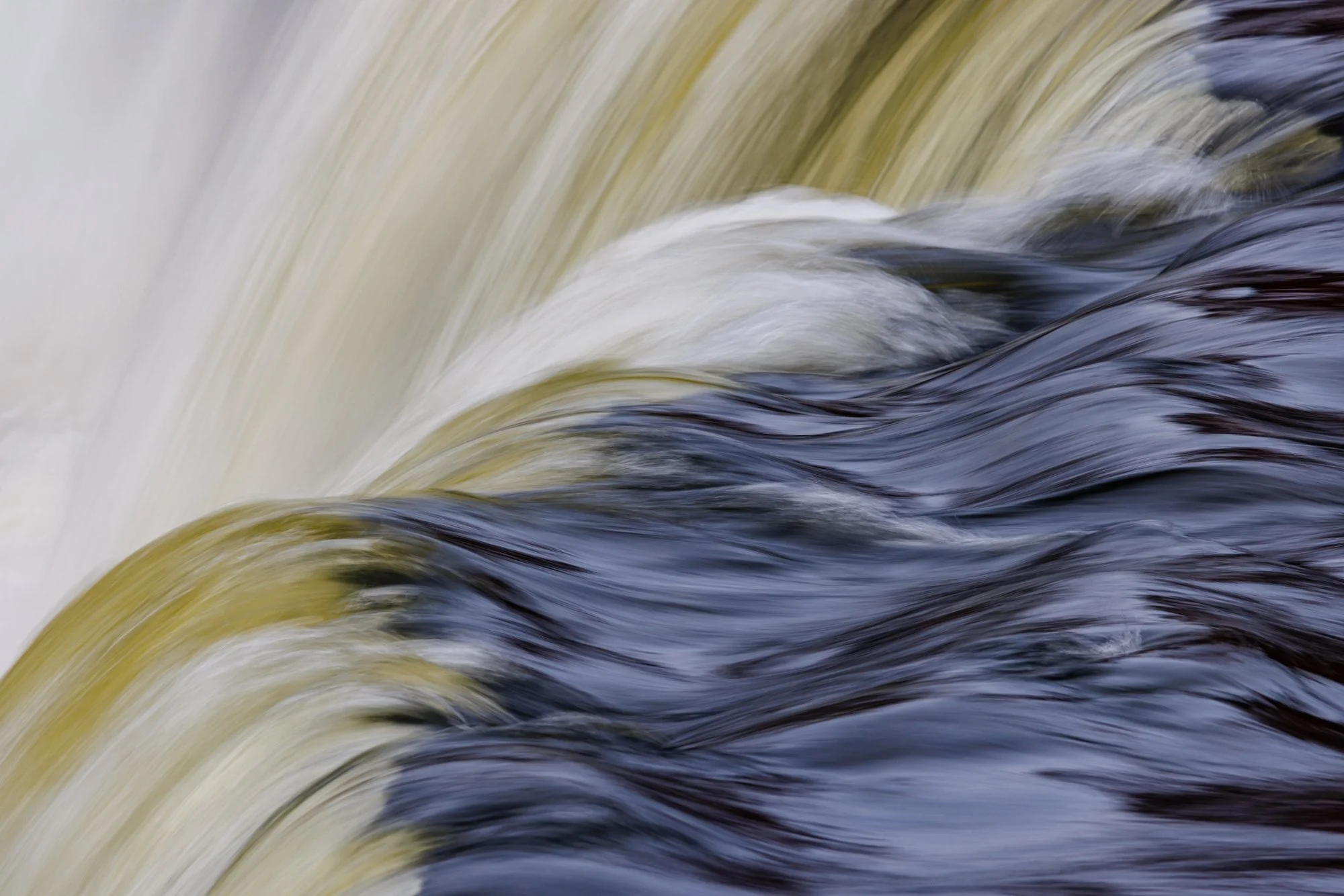 13_Brevda_20260106-_Q2A2982-Edit.jpg
