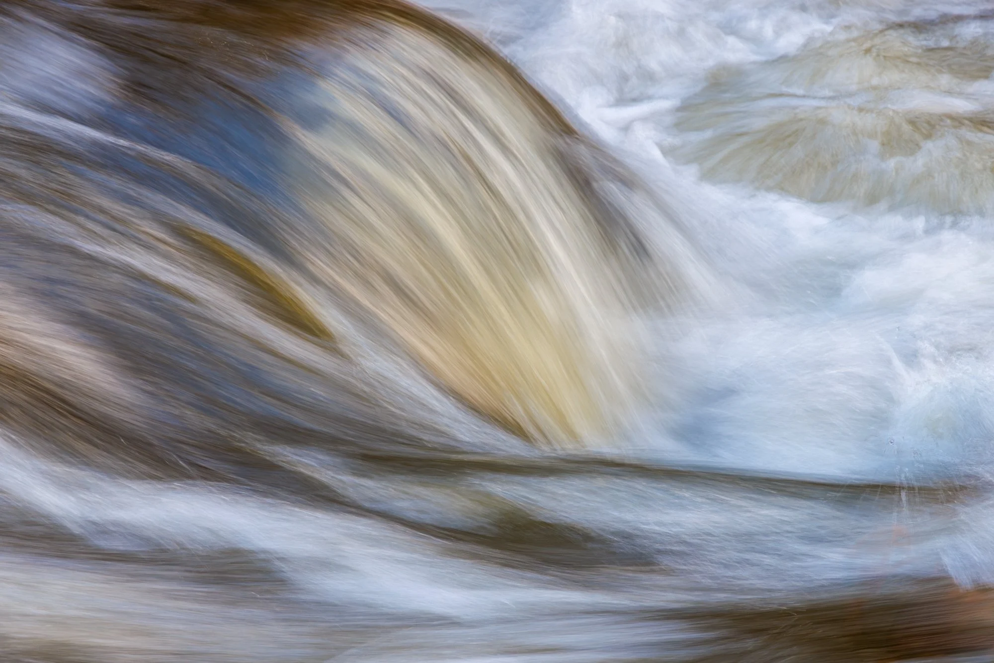 17_Brevda_20260308-_Q2A6697-Edit.jpg