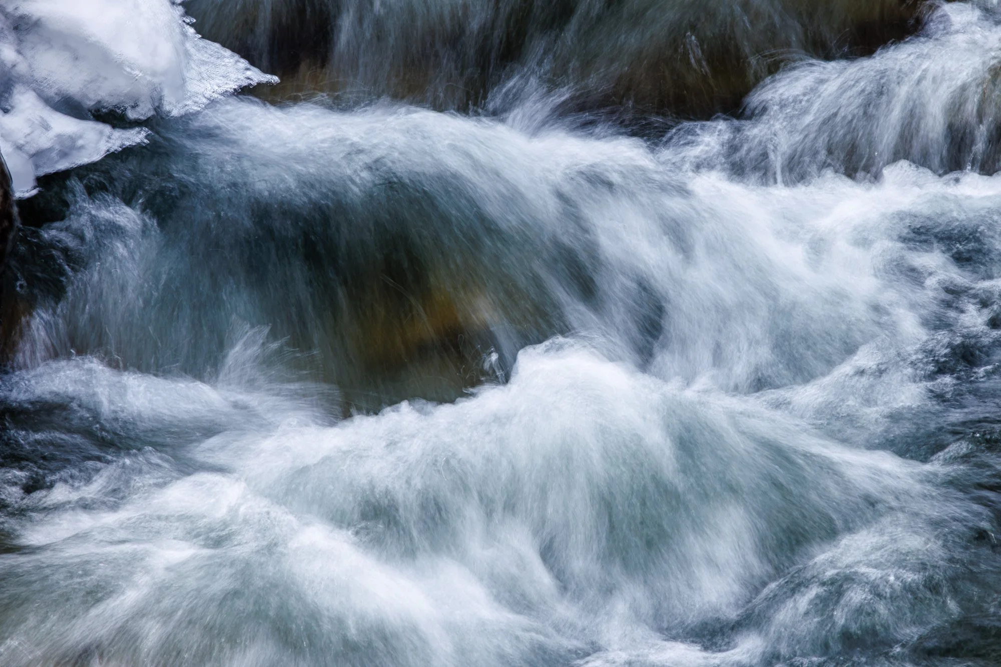 23_Brevda_20260305-_Q2A6517-Edit.jpg