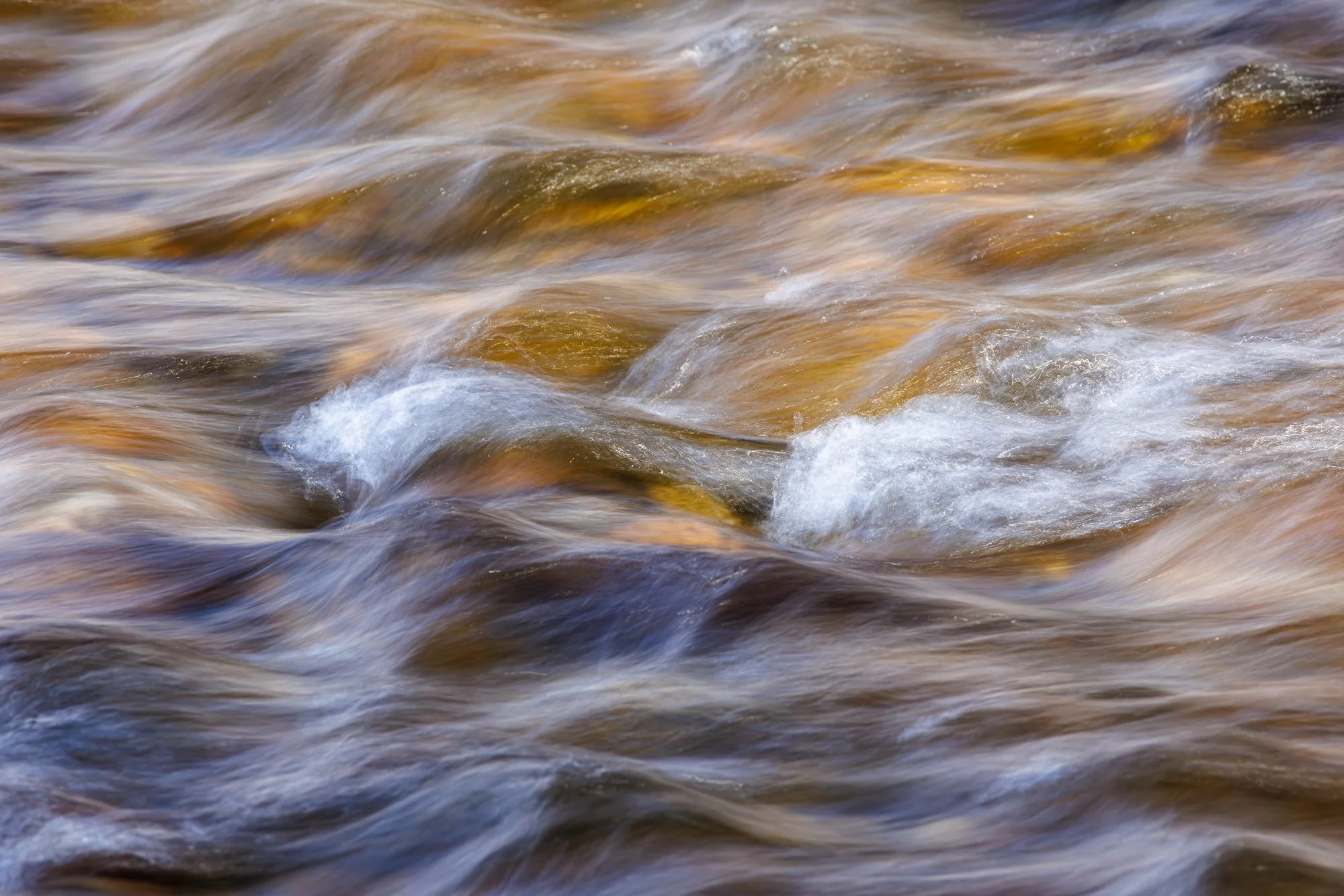 15_Brevda_20260304-_Q2A6411-2.jpg