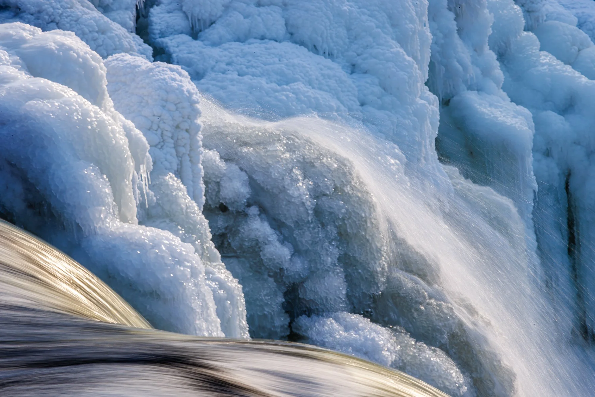 5_Brevda_20260209-_Q2A4856-Edit.jpg