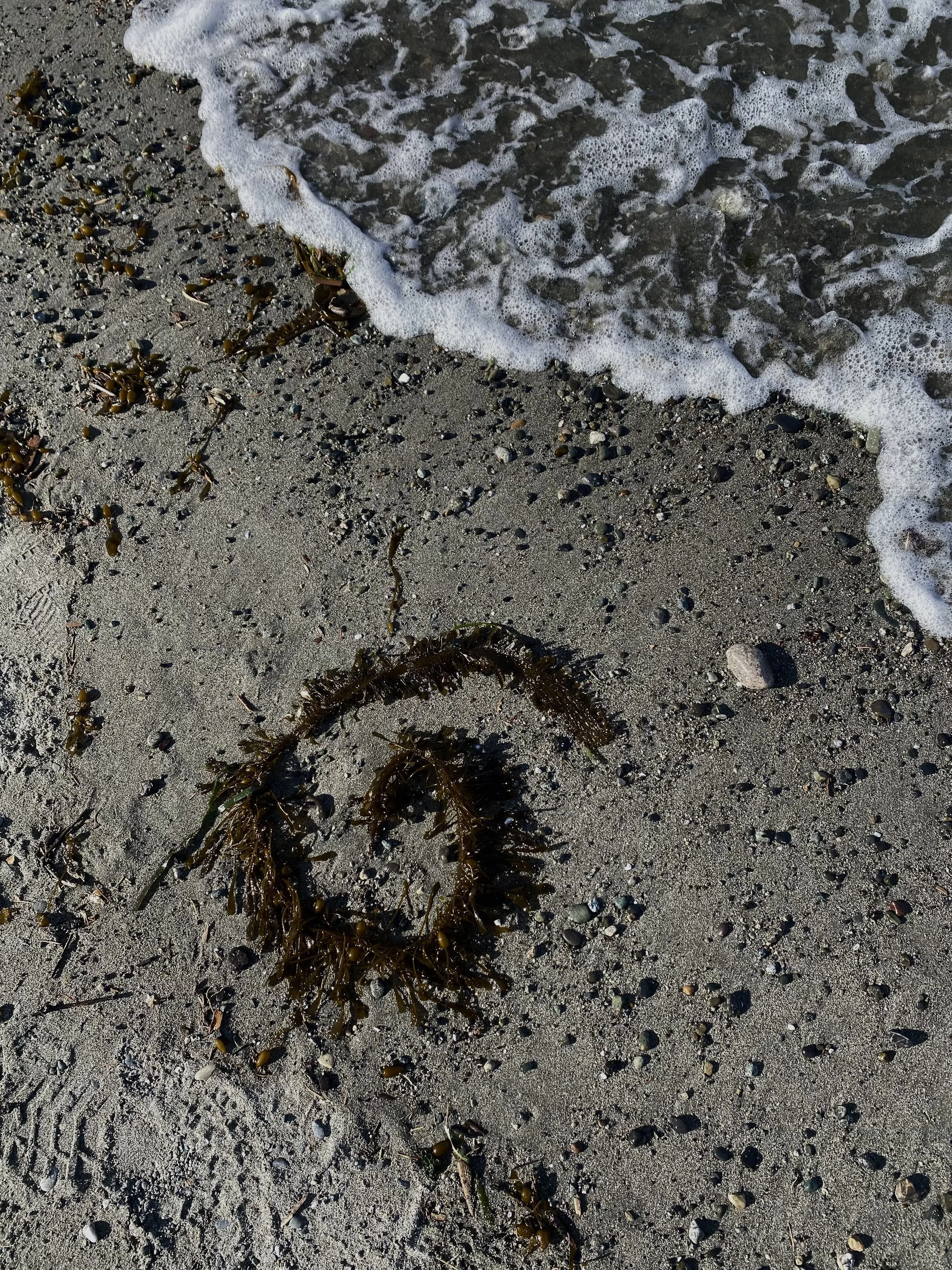 Seaweed and small rocks on sandy beach with foamy waves approaching.