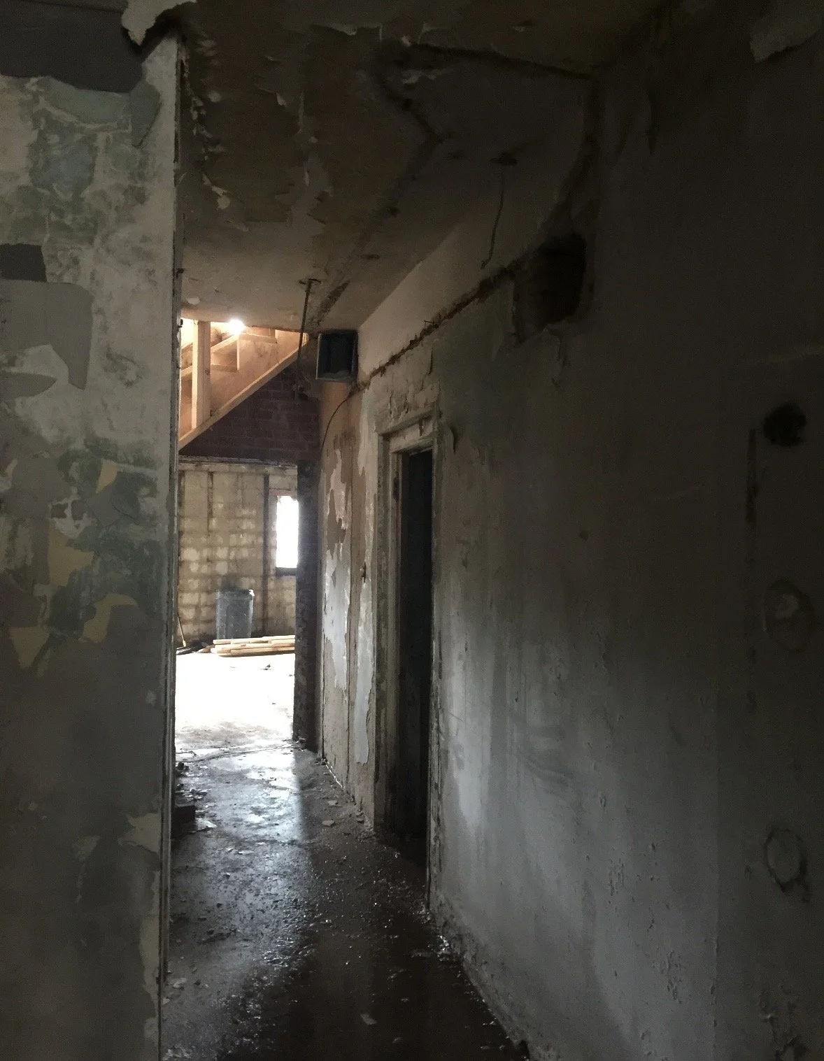 renos_5324.jpg
